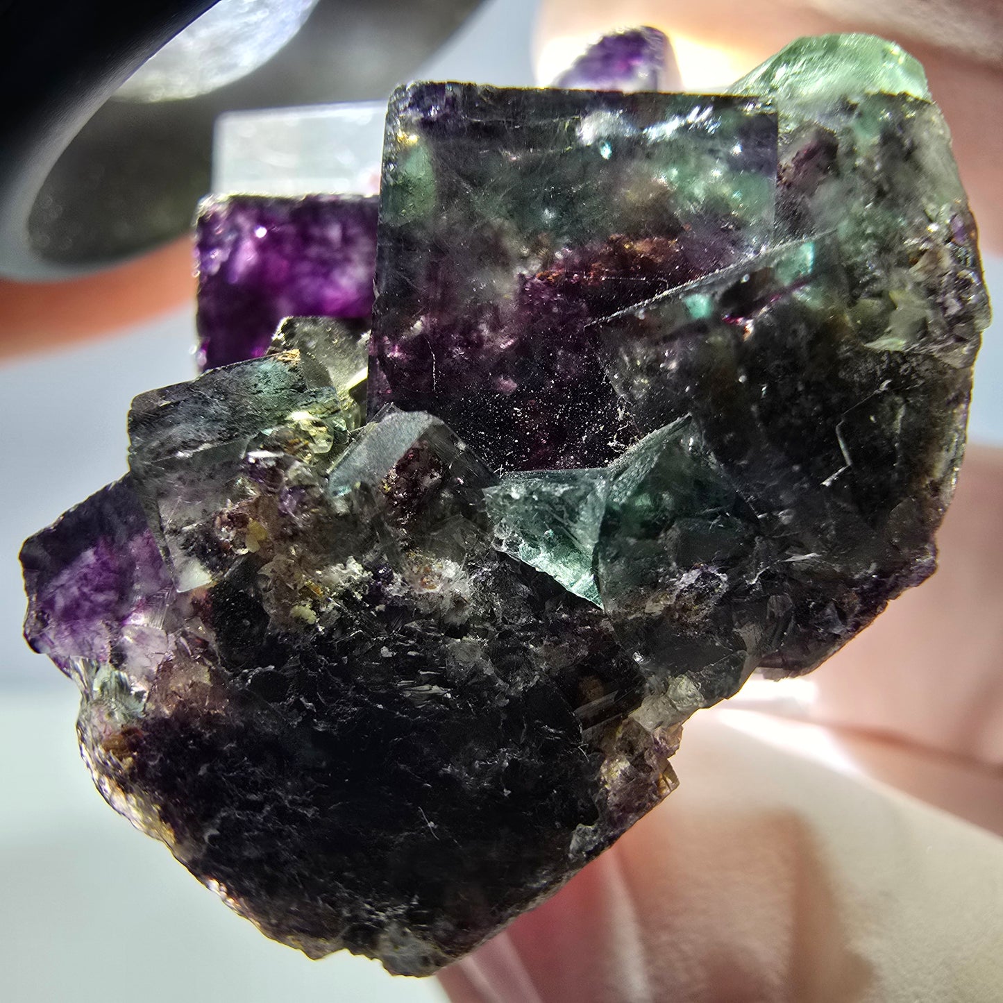 Seltene Phantom Fluorit Würfel Stufe, grün lila Okorusu, Namibia 35*28*17mm