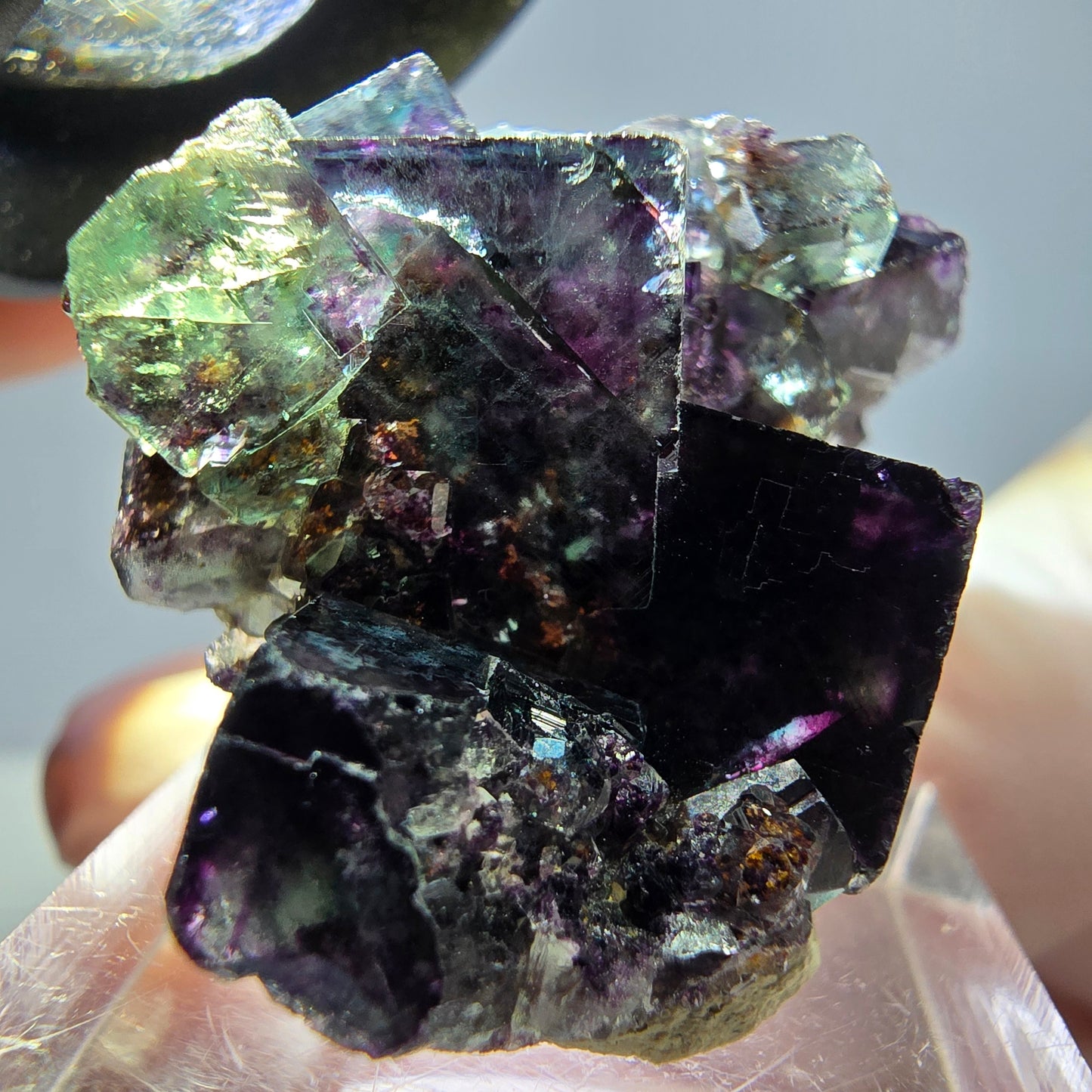 Seltene Phantom Fluorit Würfel Stufe, grün lila Okorusu, Namibia 35*28*17mm