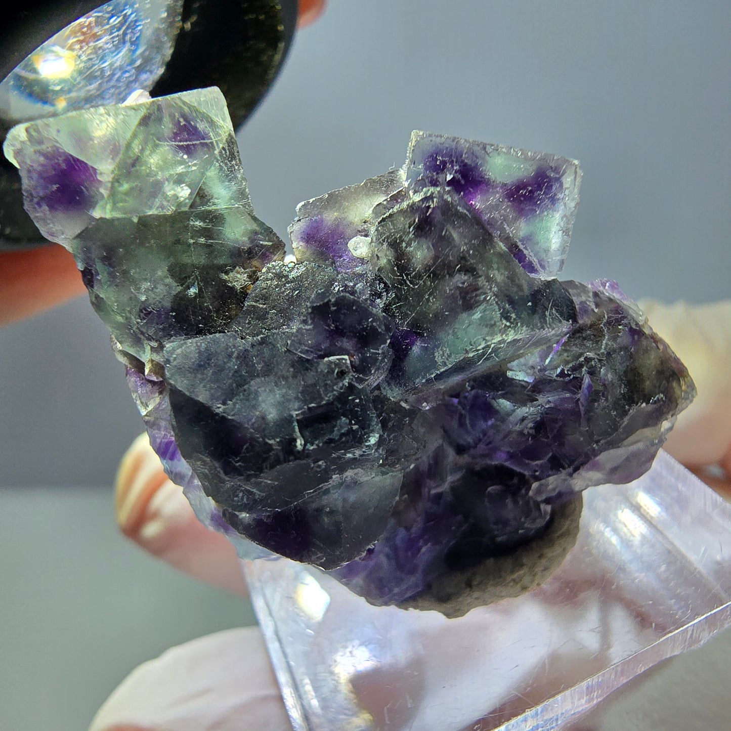 Seltene Phantom Fluorit Würfel Stufe, grün lila Okorusu, Namibia 32*28*21mm