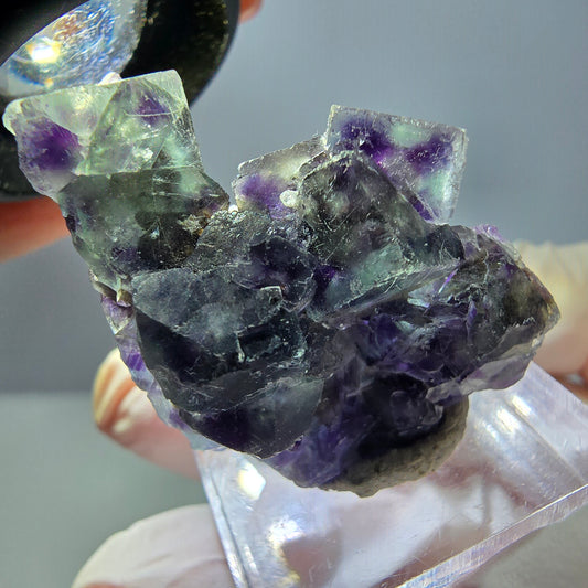 Seltene Phantom Fluorit Würfel Stufe, grün lila Okorusu, Namibia 32*28*21mm