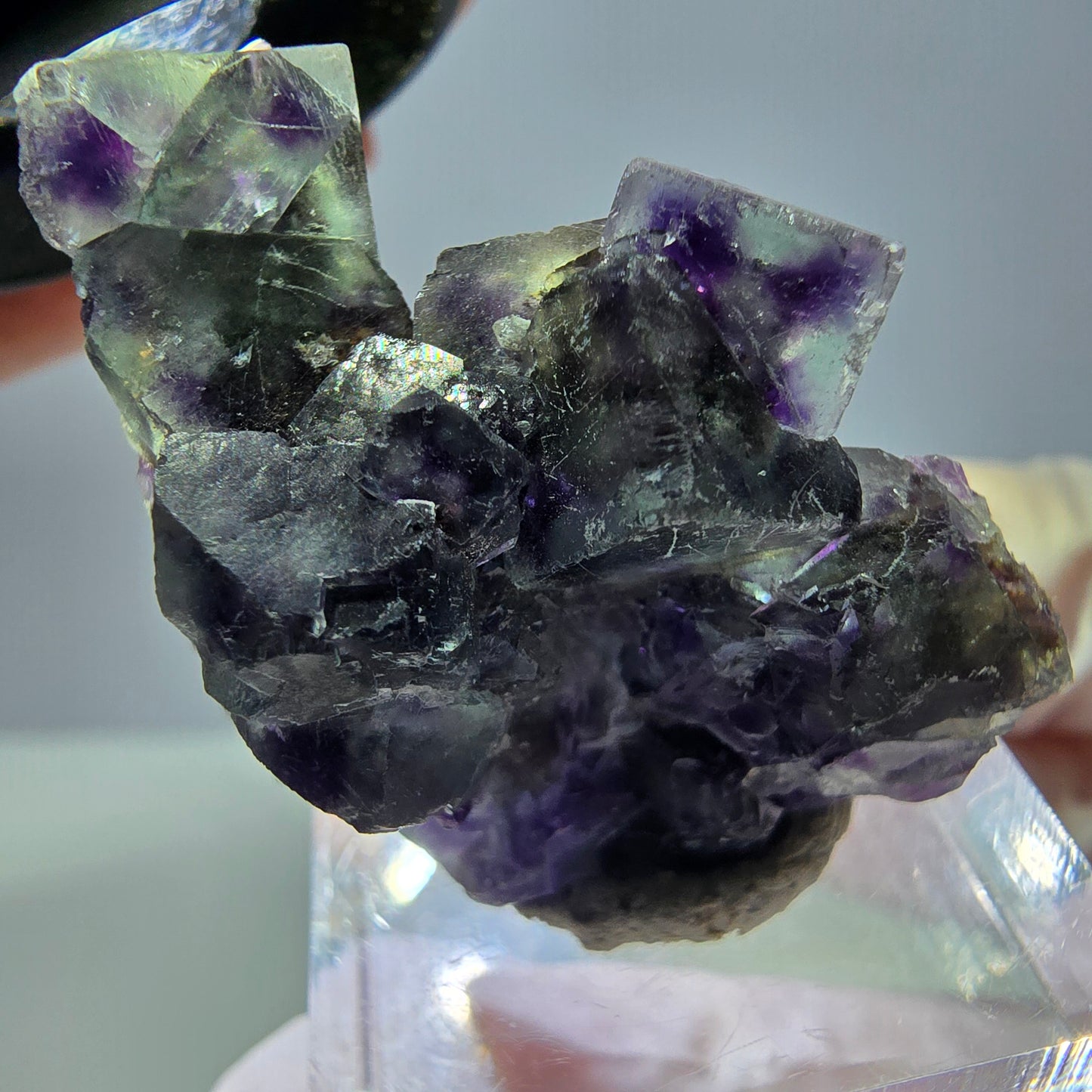 Seltene Phantom Fluorit Würfel Stufe, grün lila Okorusu, Namibia 32*28*21mm