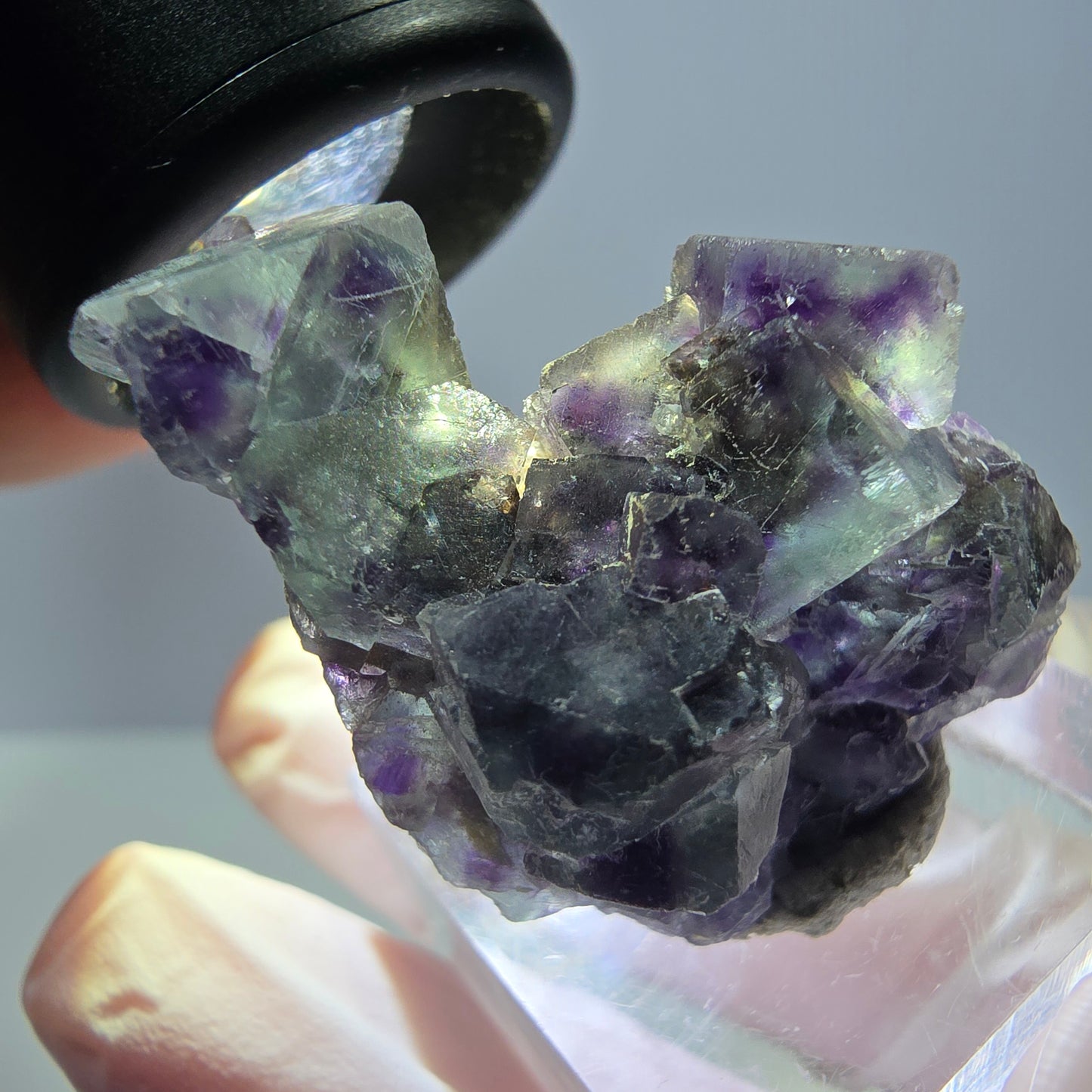 Seltene Phantom Fluorit Würfel Stufe, grün lila Okorusu, Namibia 32*28*21mm