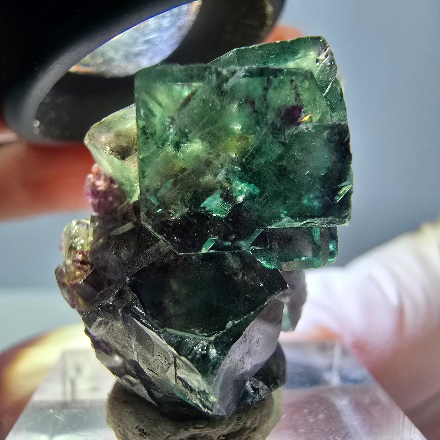Seltene Phantom Fluorit Würfel Stufe, grün lila Okorusu, Namibia 31*19*16mm