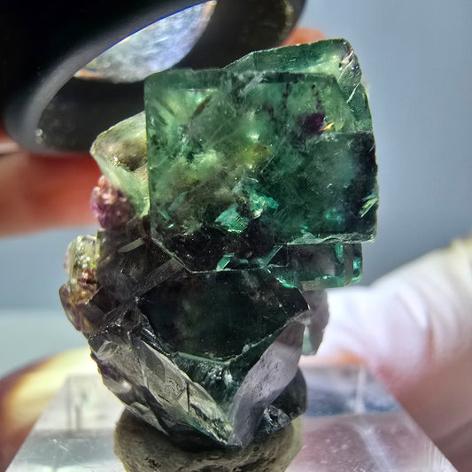Seltene Phantom Fluorit Würfel Stufe, grün lila Okorusu, Namibia 31*19*16mm