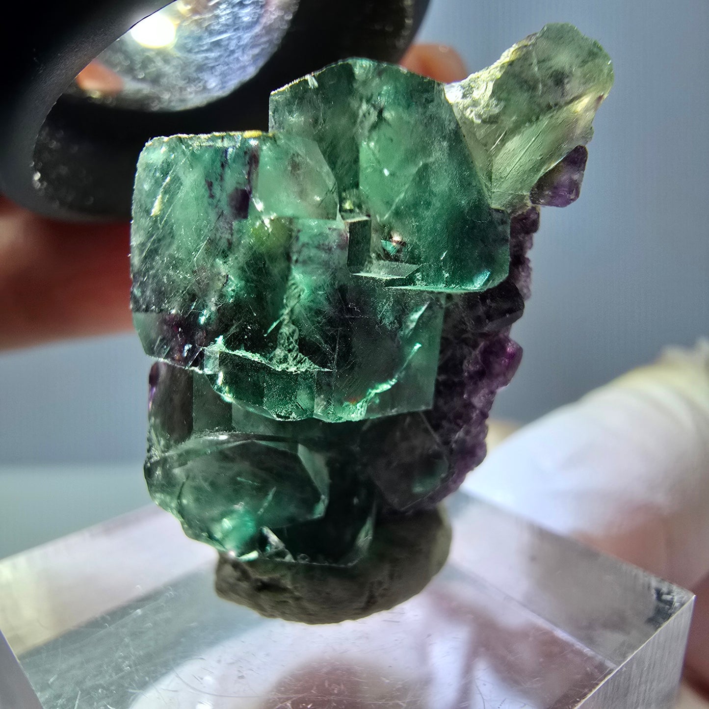 Seltene Phantom Fluorit Würfel Stufe, grün lila Okorusu, Namibia 31*19*16mm