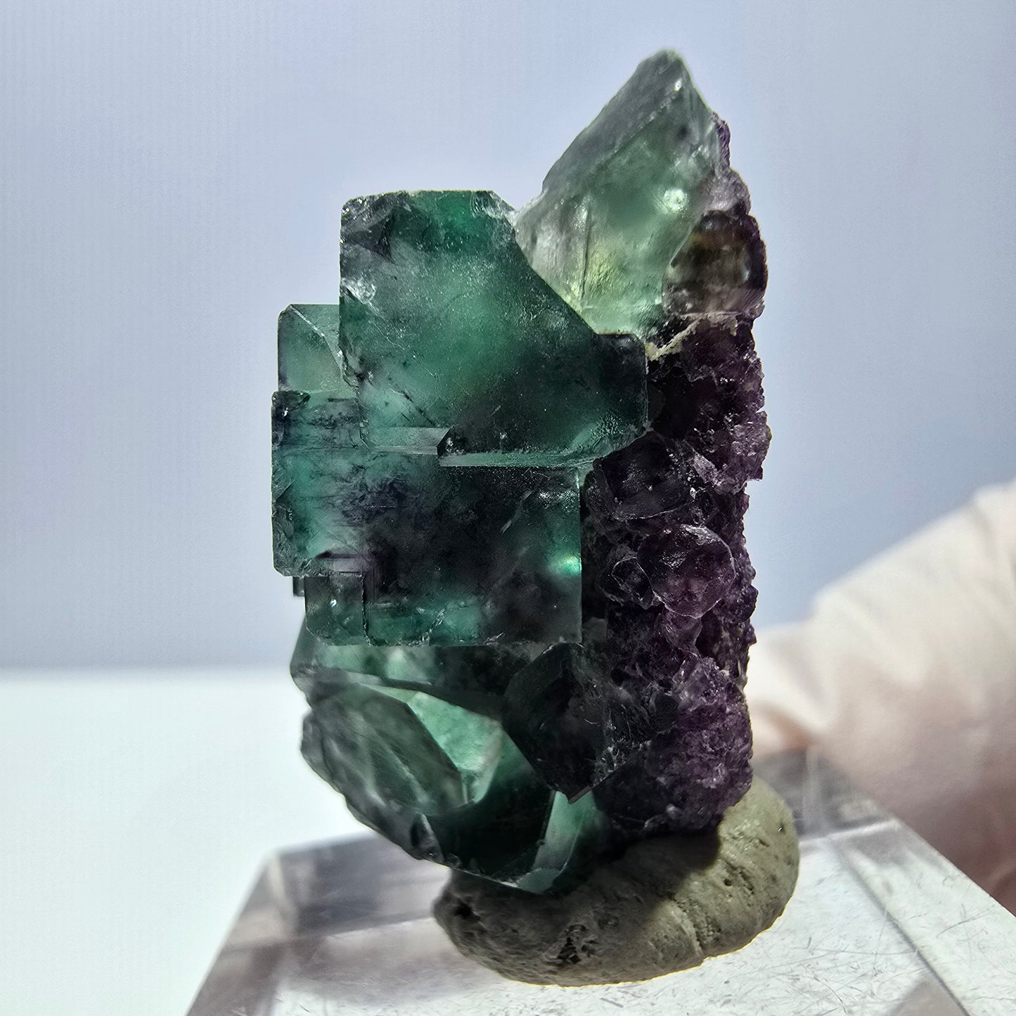 Seltene Phantom Fluorit Würfel Stufe, grün lila Okorusu, Namibia 31*19*16mm