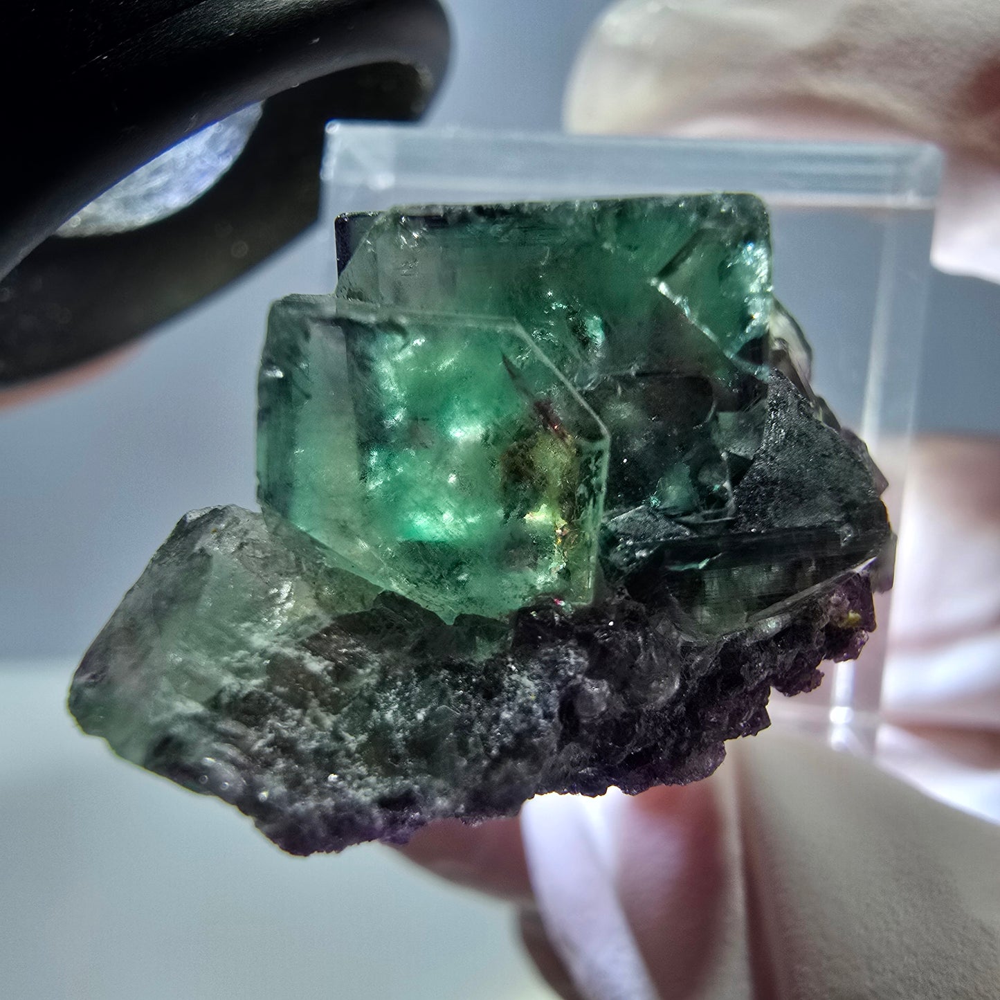 Seltene Phantom Fluorit Würfel Stufe, grün lila Okorusu, Namibia 31*19*16mm