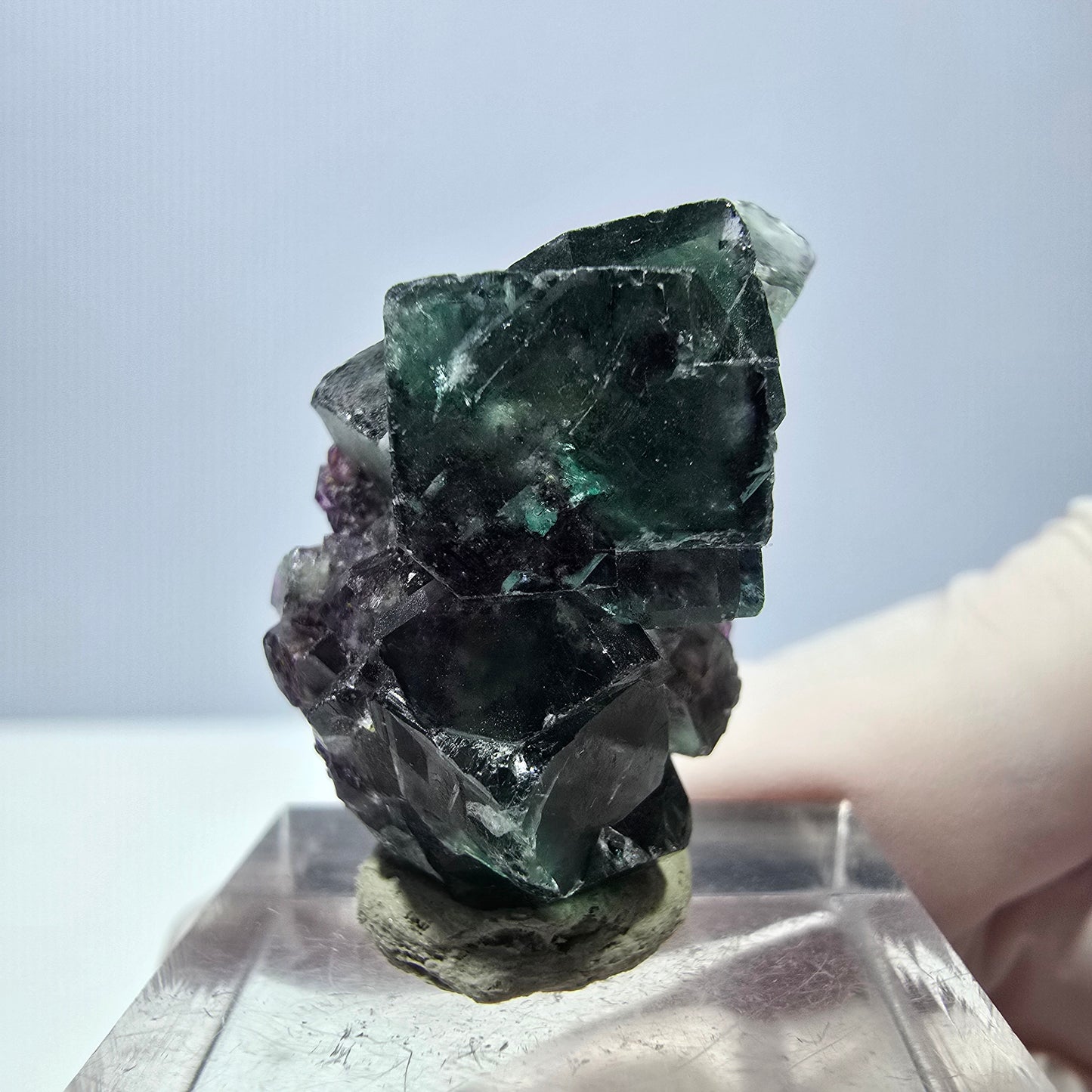 Seltene Phantom Fluorit Würfel Stufe, grün lila Okorusu, Namibia 31*19*16mm