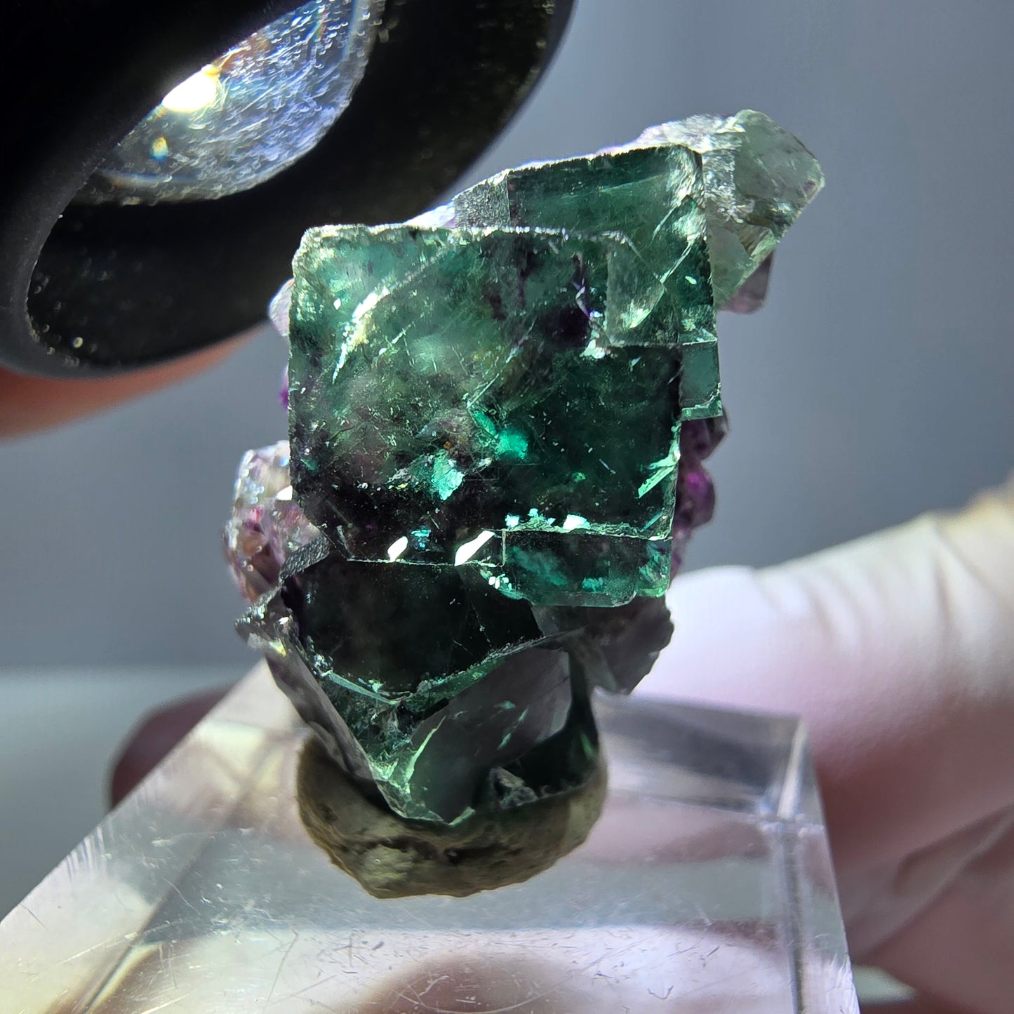 Seltene Phantom Fluorit Würfel Stufe, grün lila Okorusu, Namibia 31*19*16mm