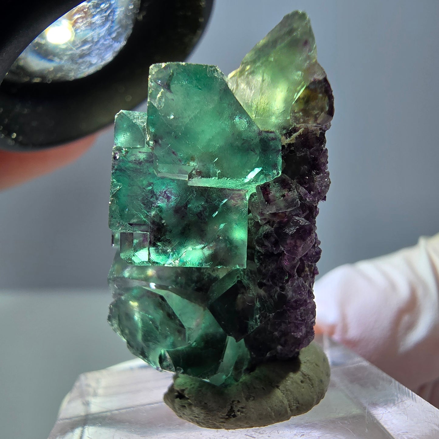 Seltene Phantom Fluorit Würfel Stufe, grün lila Okorusu, Namibia 31*19*16mm