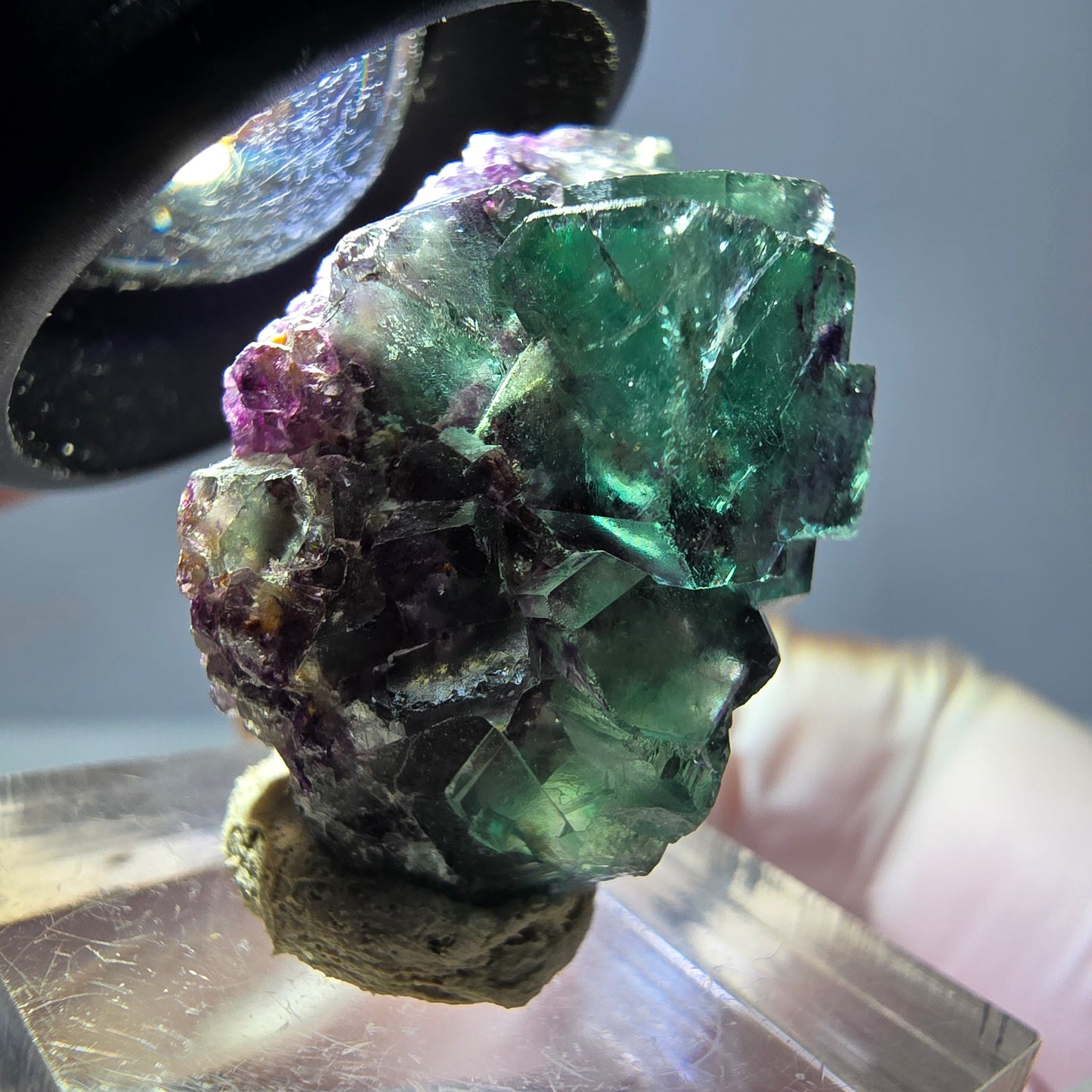 Seltene Phantom Fluorit Würfel Stufe, grün lila Okorusu, Namibia 31*19*16mm