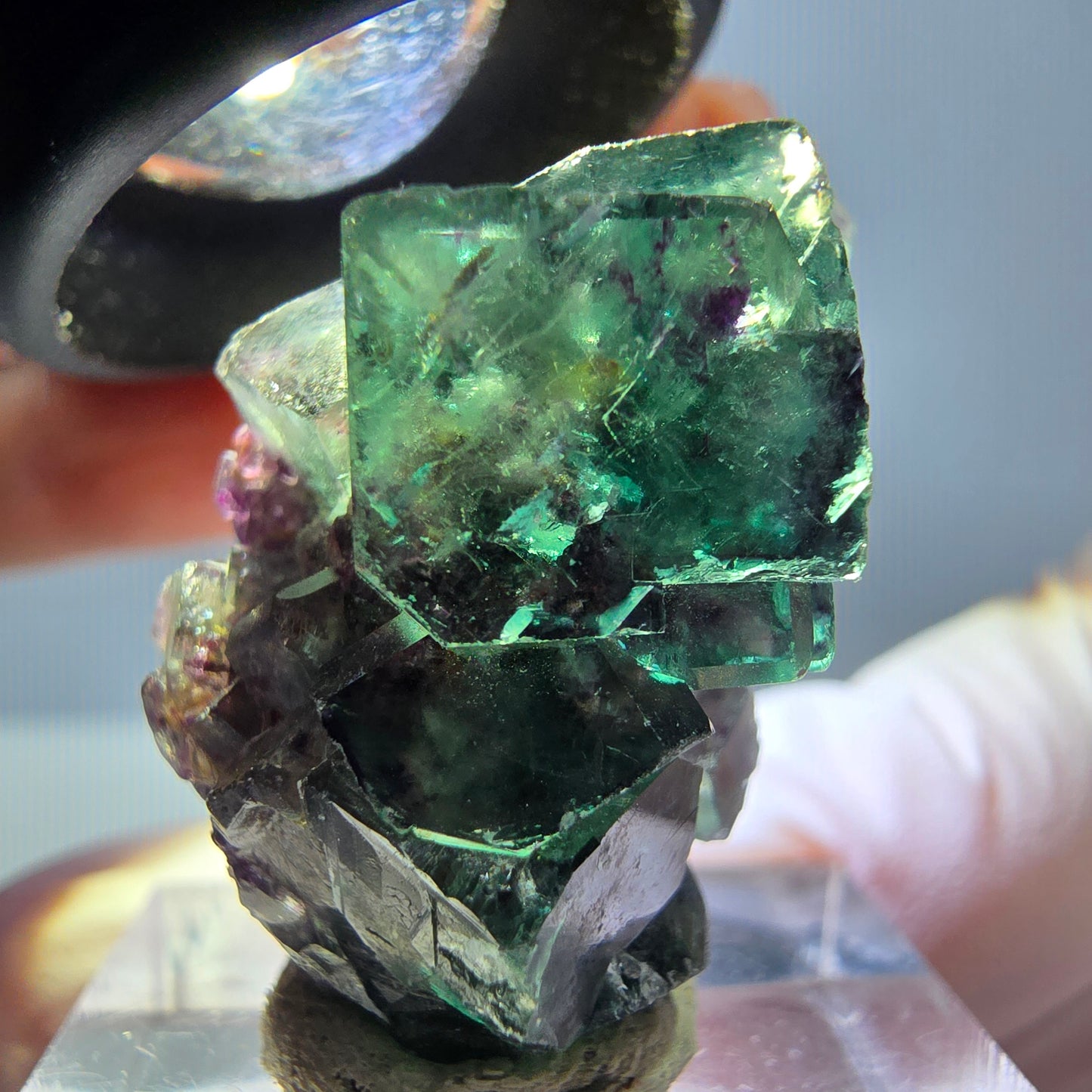 Seltene Phantom Fluorit Würfel Stufe, grün lila Okorusu, Namibia 31*19*16mm
