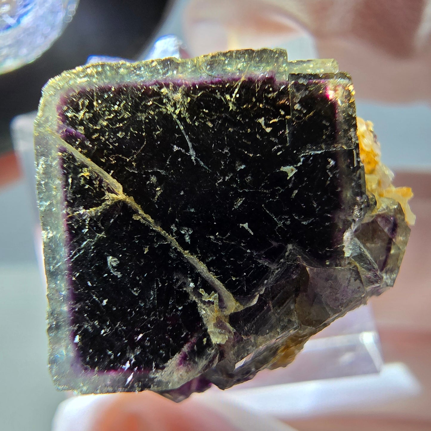 Seltene Phantom Fluorit Würfel Stufe, grün lila Okorusu, Namibia 29*25*18mm