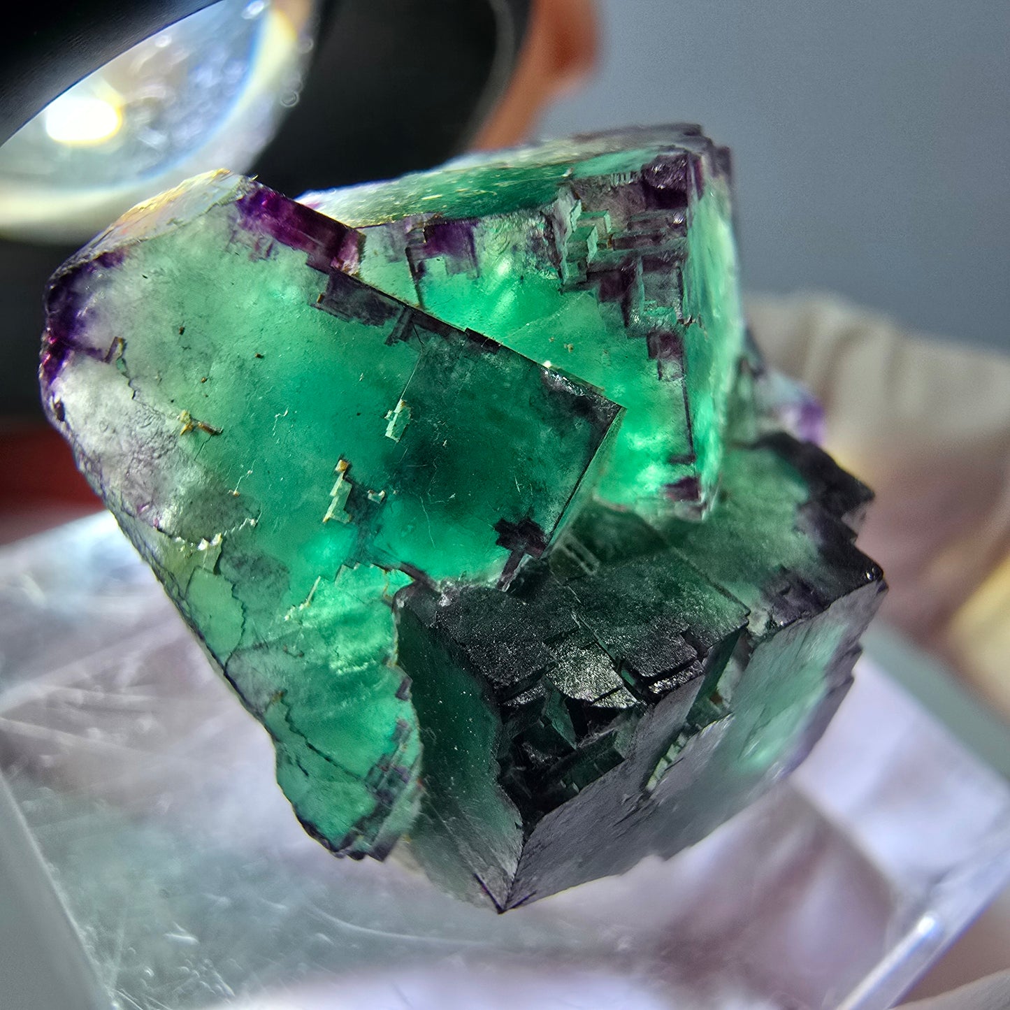 Seltene Phantom Fluorit Würfel Stufe, grün lila Okorusu, Namibia 21*21*13mm