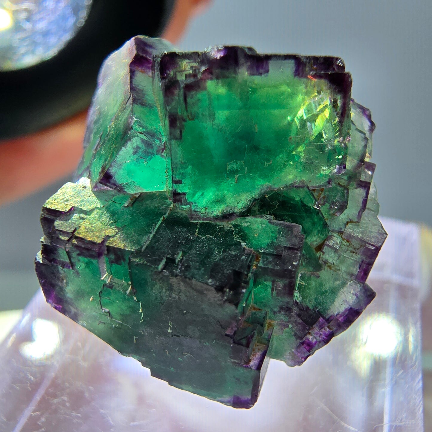 Seltene Phantom Fluorit Würfel Stufe, grün lila Okorusu, Namibia 21*21*13mm