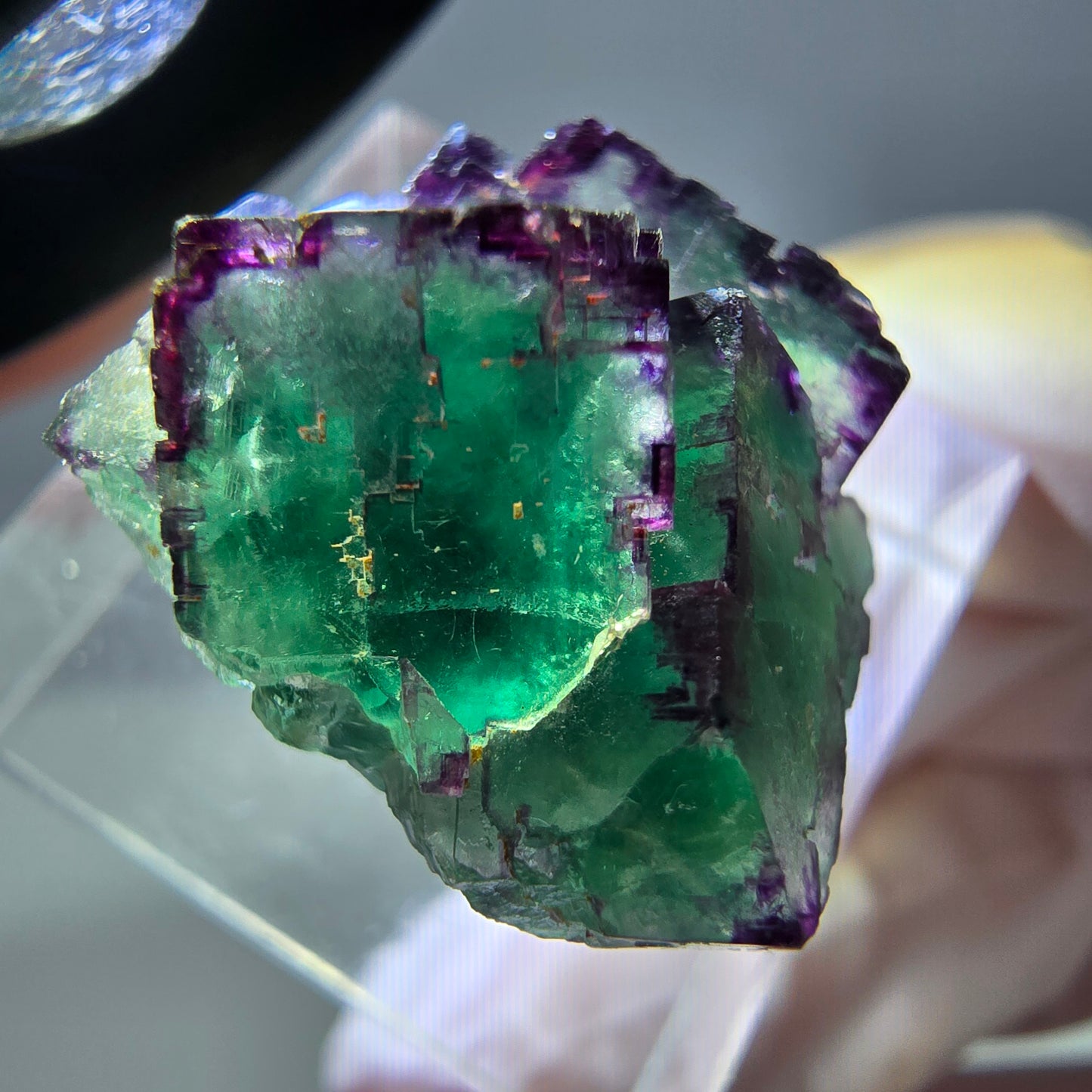 Seltene Phantom Fluorit Würfel Stufe, grün lila Okorusu, Namibia 21*21*13mm