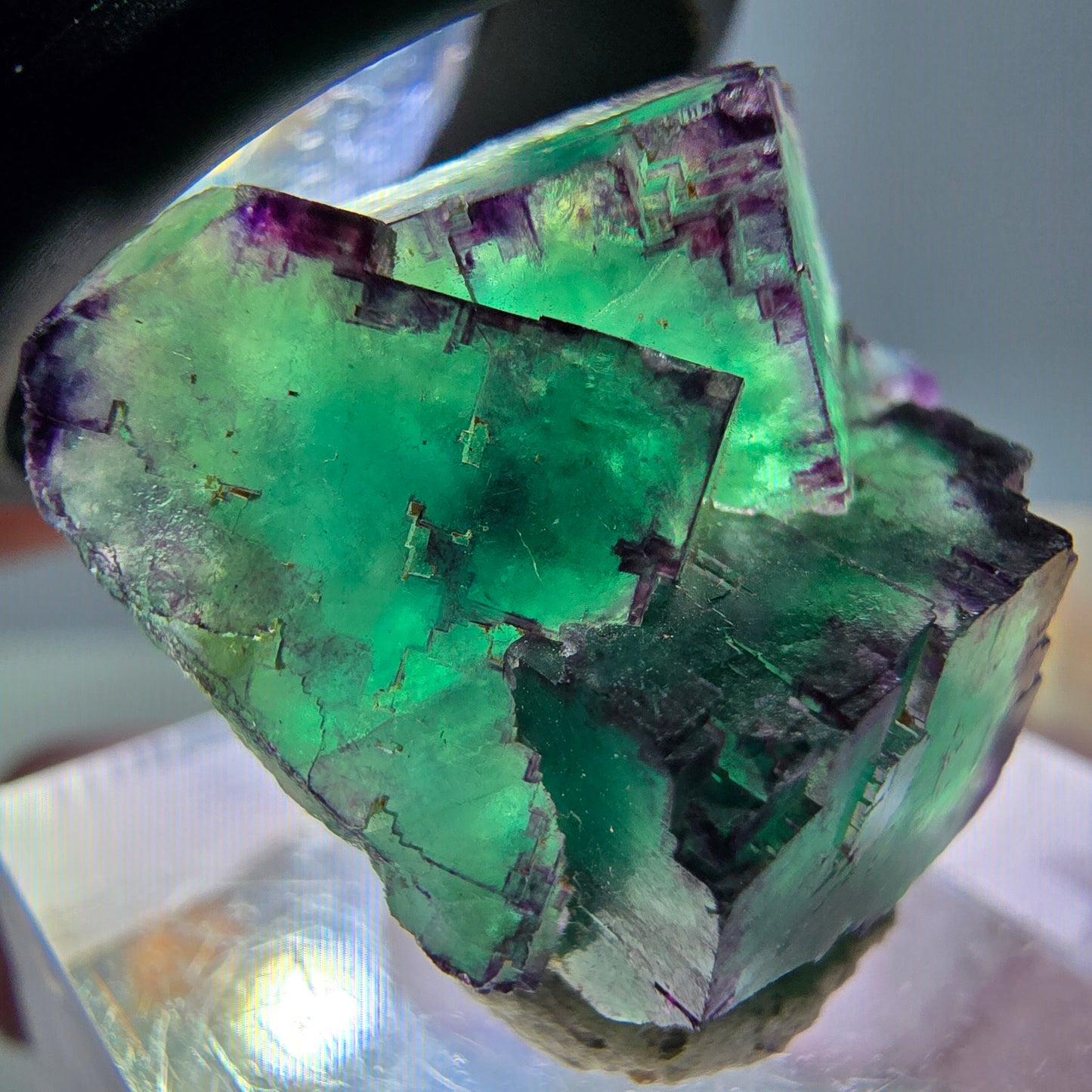 Seltene Phantom Fluorit Würfel Stufe, grün lila Okorusu, Namibia 21*21*13mm