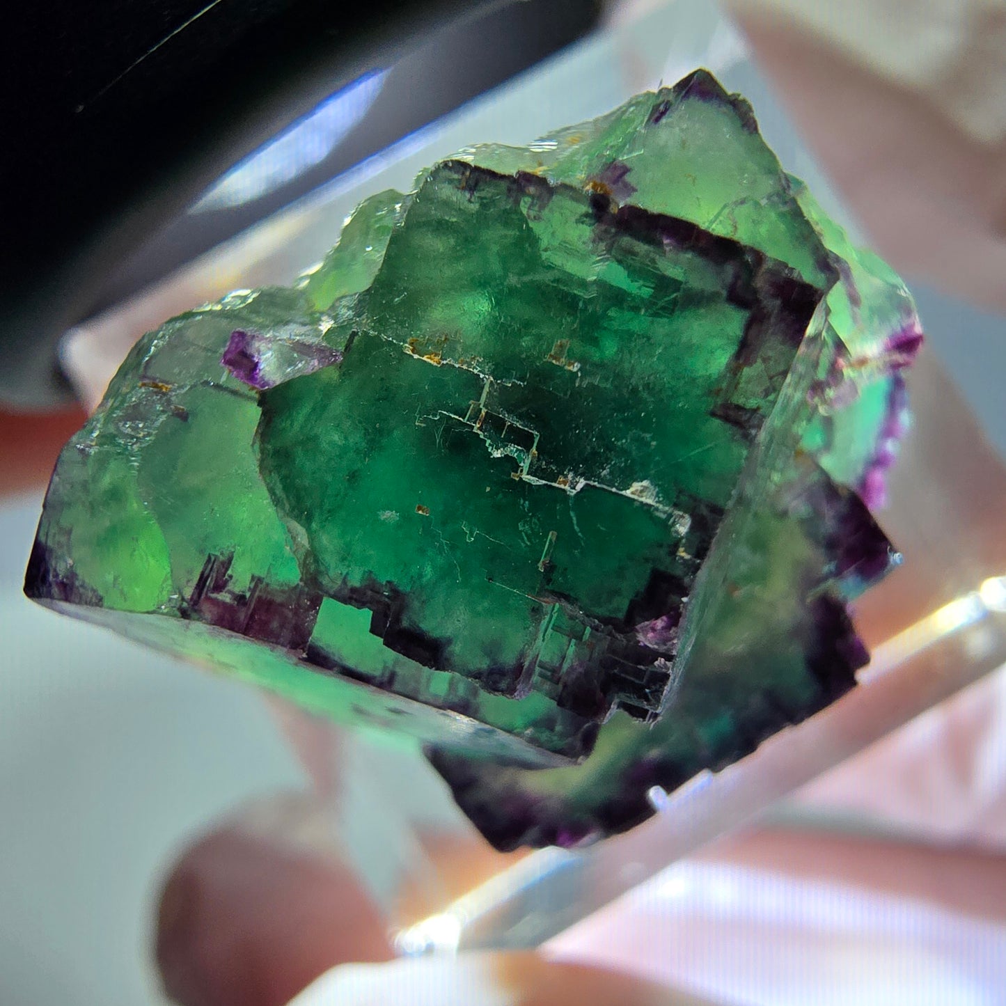 Seltene Phantom Fluorit Würfel Stufe, grün lila Okorusu, Namibia 21*21*13mm