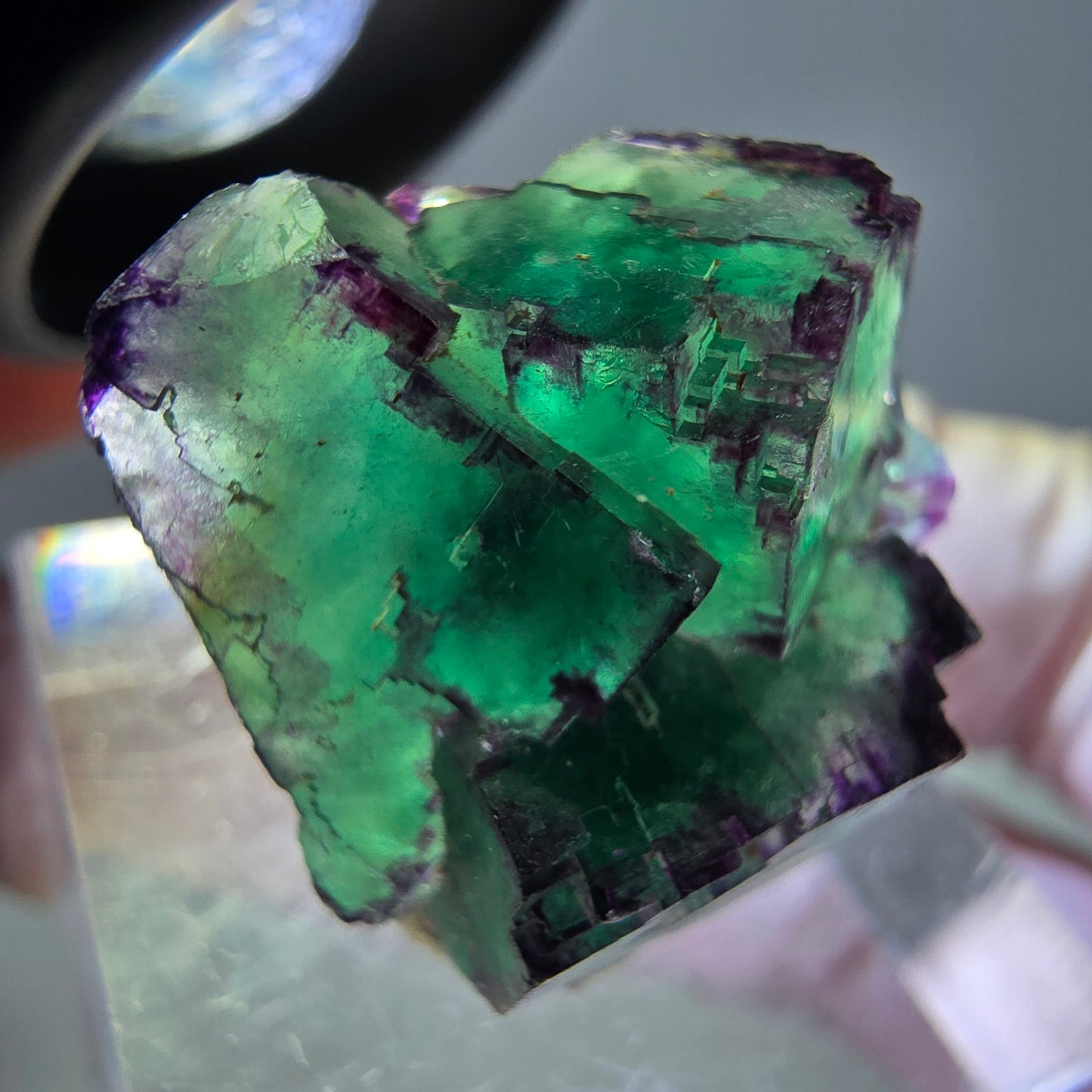 Seltene Phantom Fluorit Würfel Stufe, grün lila Okorusu, Namibia 21*21*13mm