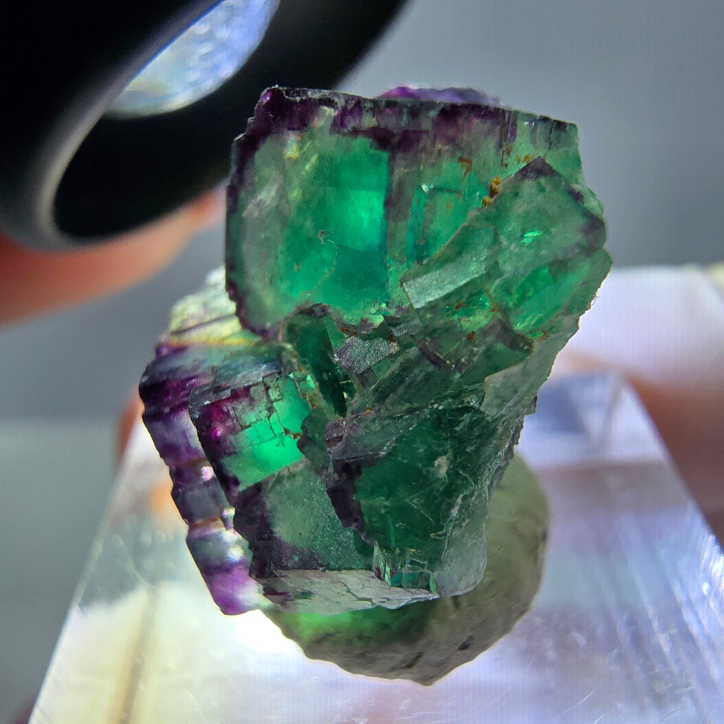 Seltene Phantom Fluorit Würfel Stufe, grün lila Okorusu, Namibia 21*21*13mm