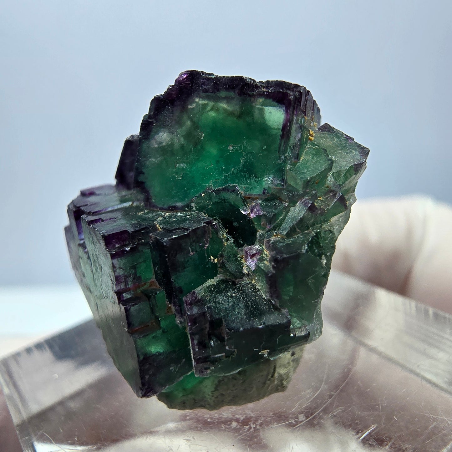 Seltene Phantom Fluorit Würfel Stufe, grün lila Okorusu, Namibia 21*21*13mm