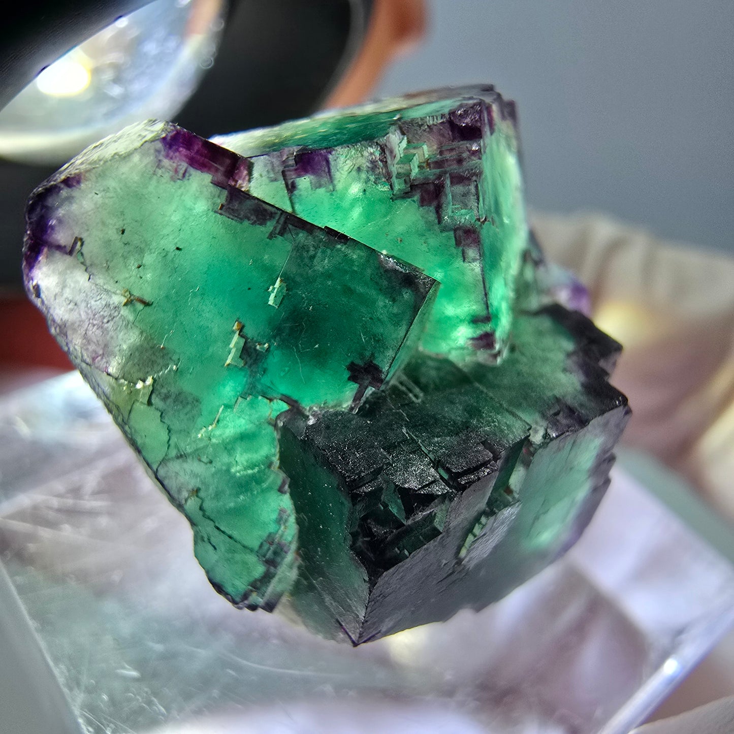 Seltene Phantom Fluorit Würfel Stufe, grün lila Okorusu, Namibia 21*21*13mm