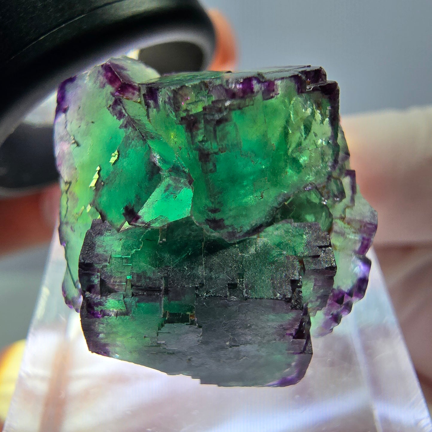 Seltene Phantom Fluorit Würfel Stufe, grün lila Okorusu, Namibia 21*21*13mm