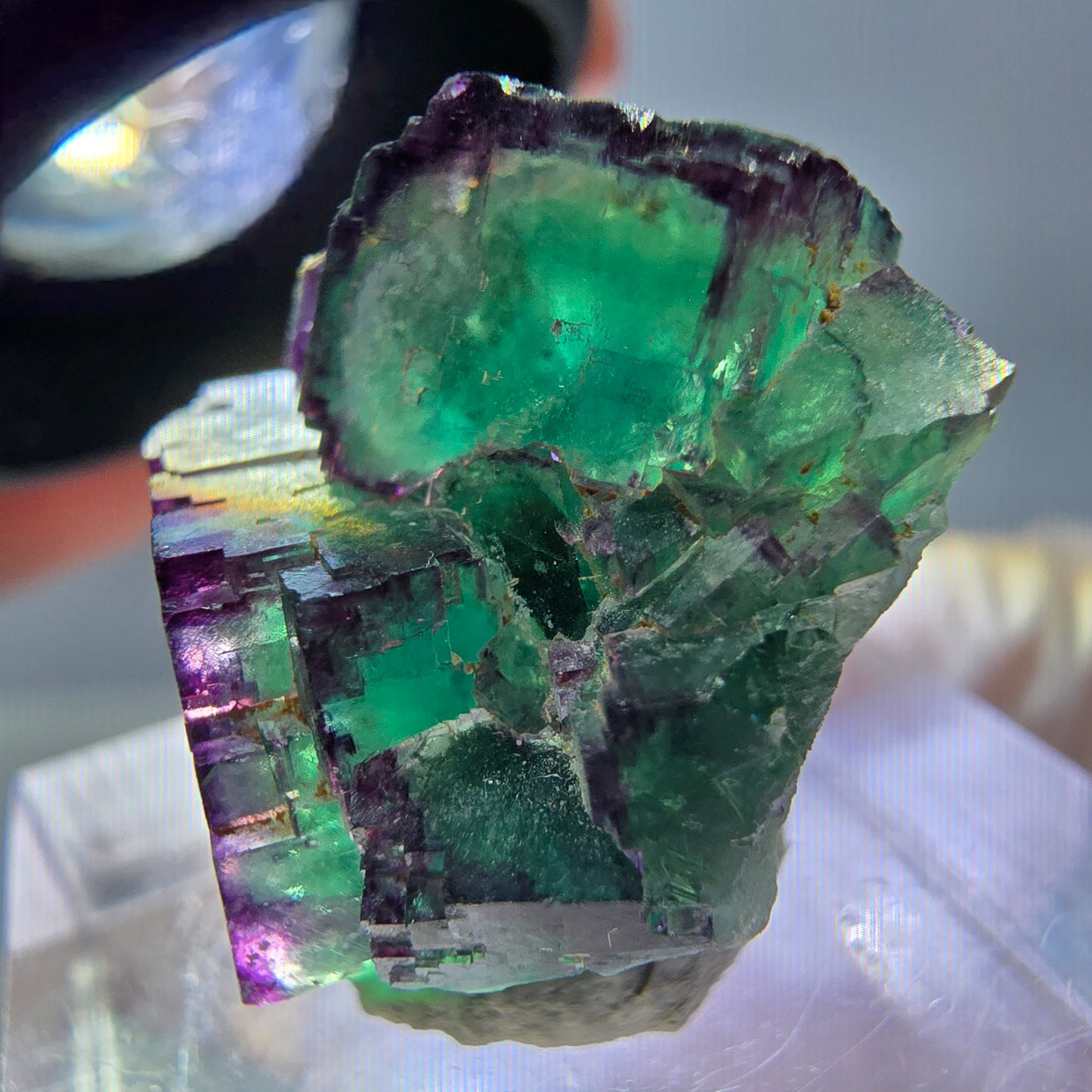 Seltene Phantom Fluorit Würfel Stufe, grün lila Okorusu, Namibia 21*21*13mm