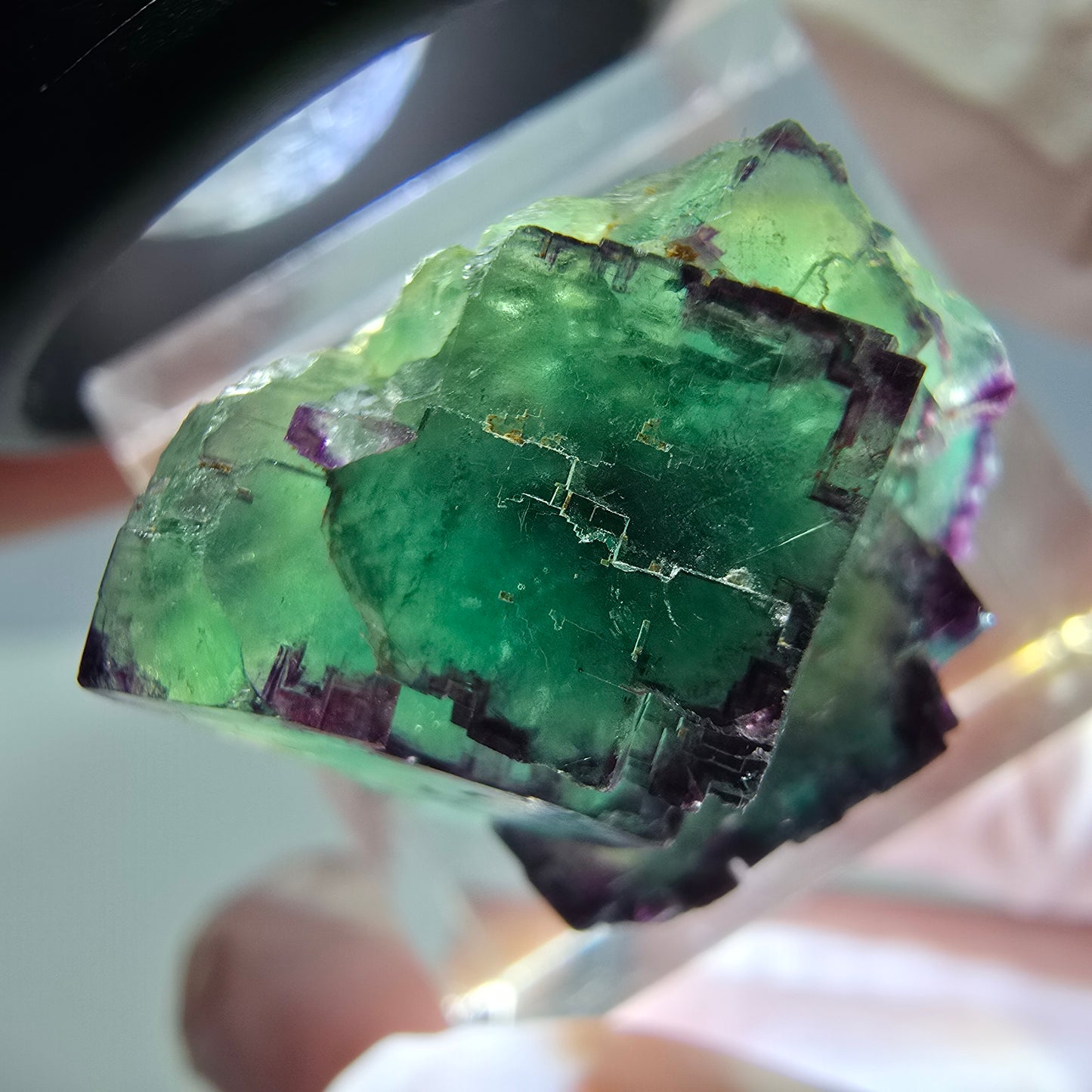Seltene Phantom Fluorit Würfel Stufe, grün lila Okorusu, Namibia 21*21*13mm