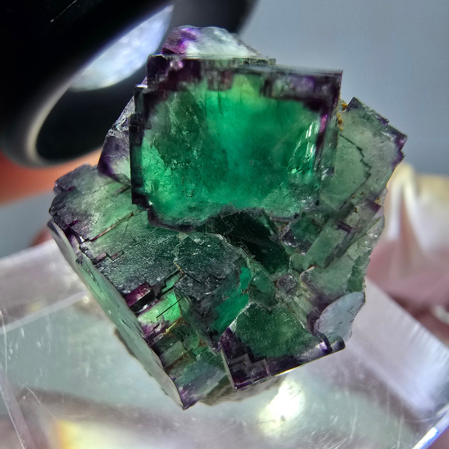 Seltene Phantom Fluorit Würfel Stufe, grün lila Okorusu, Namibia 21*21*13mm