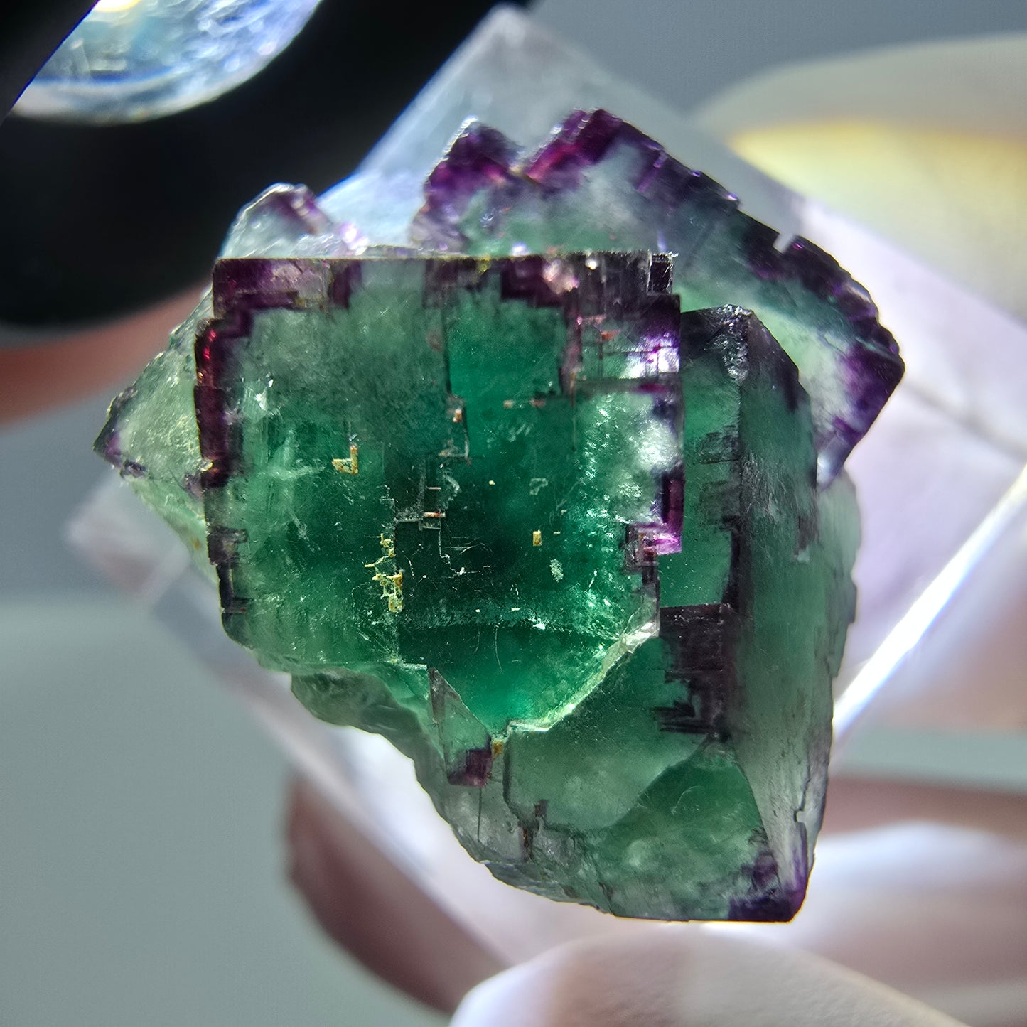 Seltene Phantom Fluorit Würfel Stufe, grün lila Okorusu, Namibia 21*21*13mm