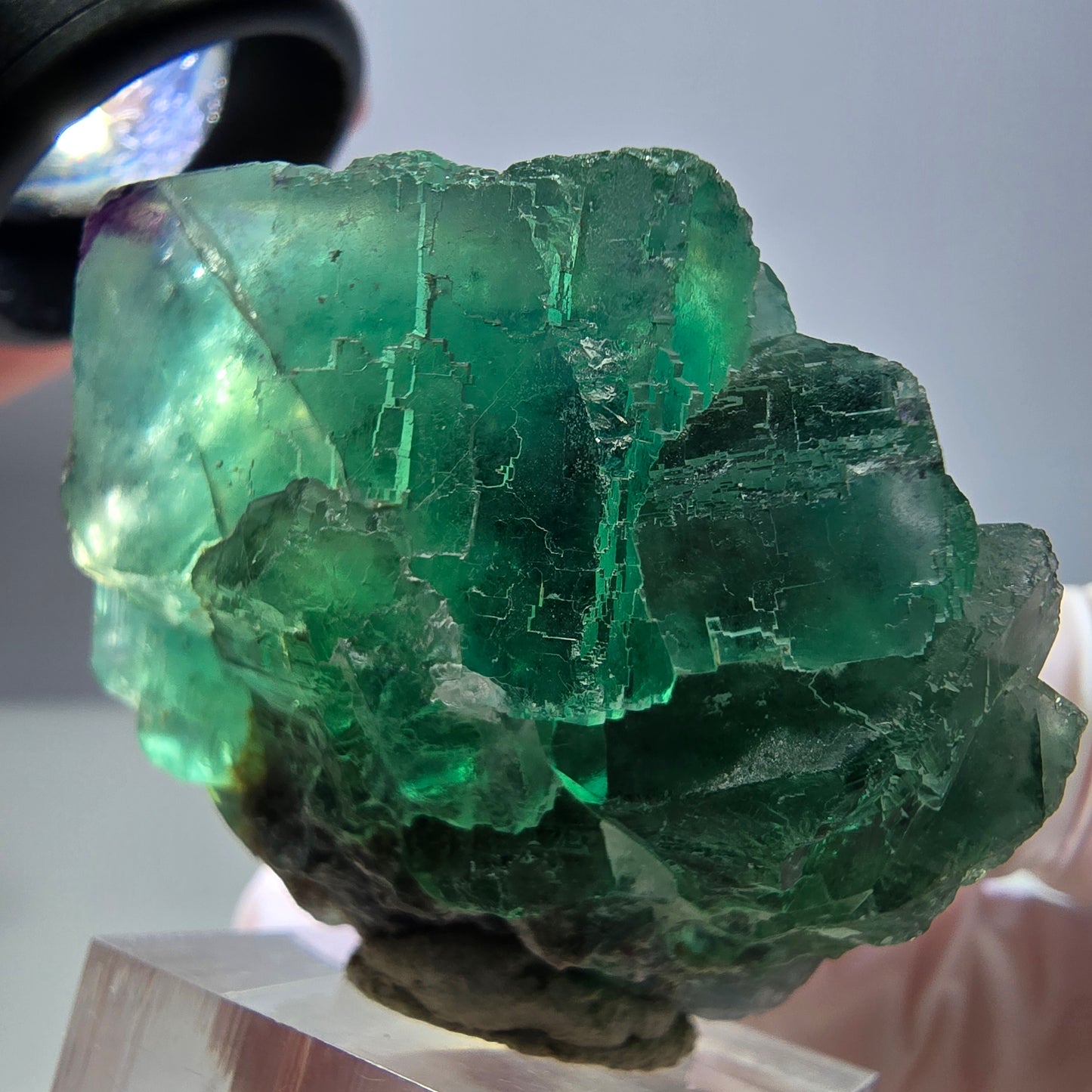 Seltene Phantom Fluorit Würfel Stufe, grün lila Okorusu, Namibia 47*39*25mm