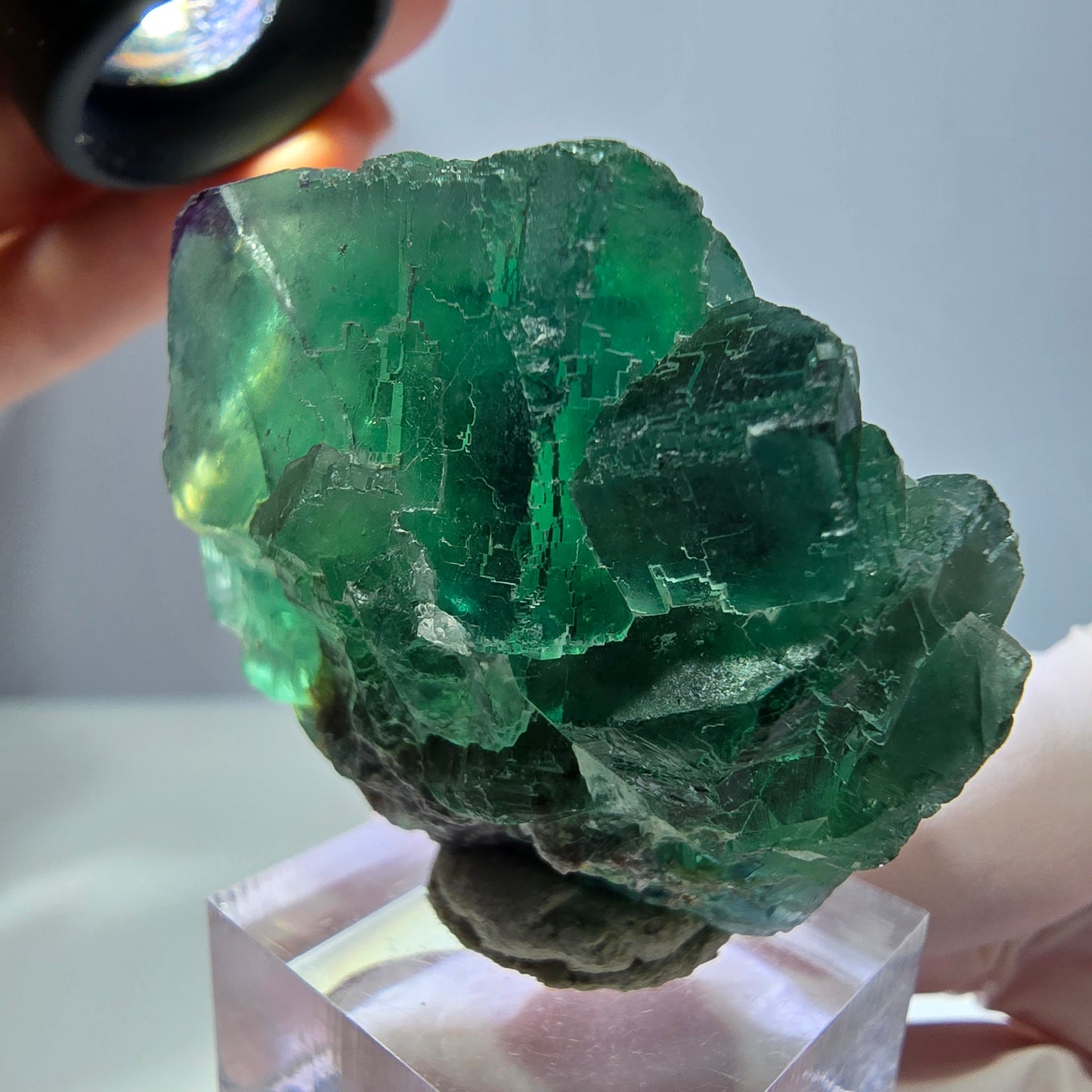Seltene Phantom Fluorit Würfel Stufe, grün lila Okorusu, Namibia 47*39*25mm