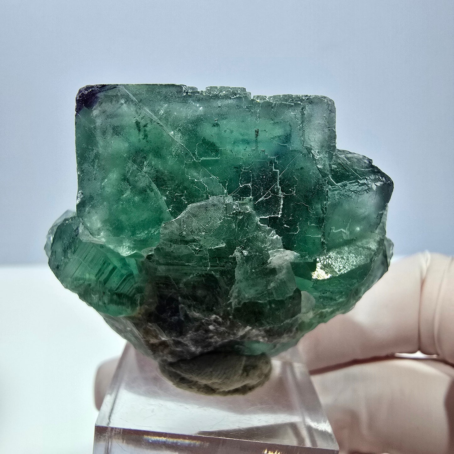 Seltene Phantom Fluorit Würfel Stufe, grün lila Okorusu, Namibia 47*39*25mm