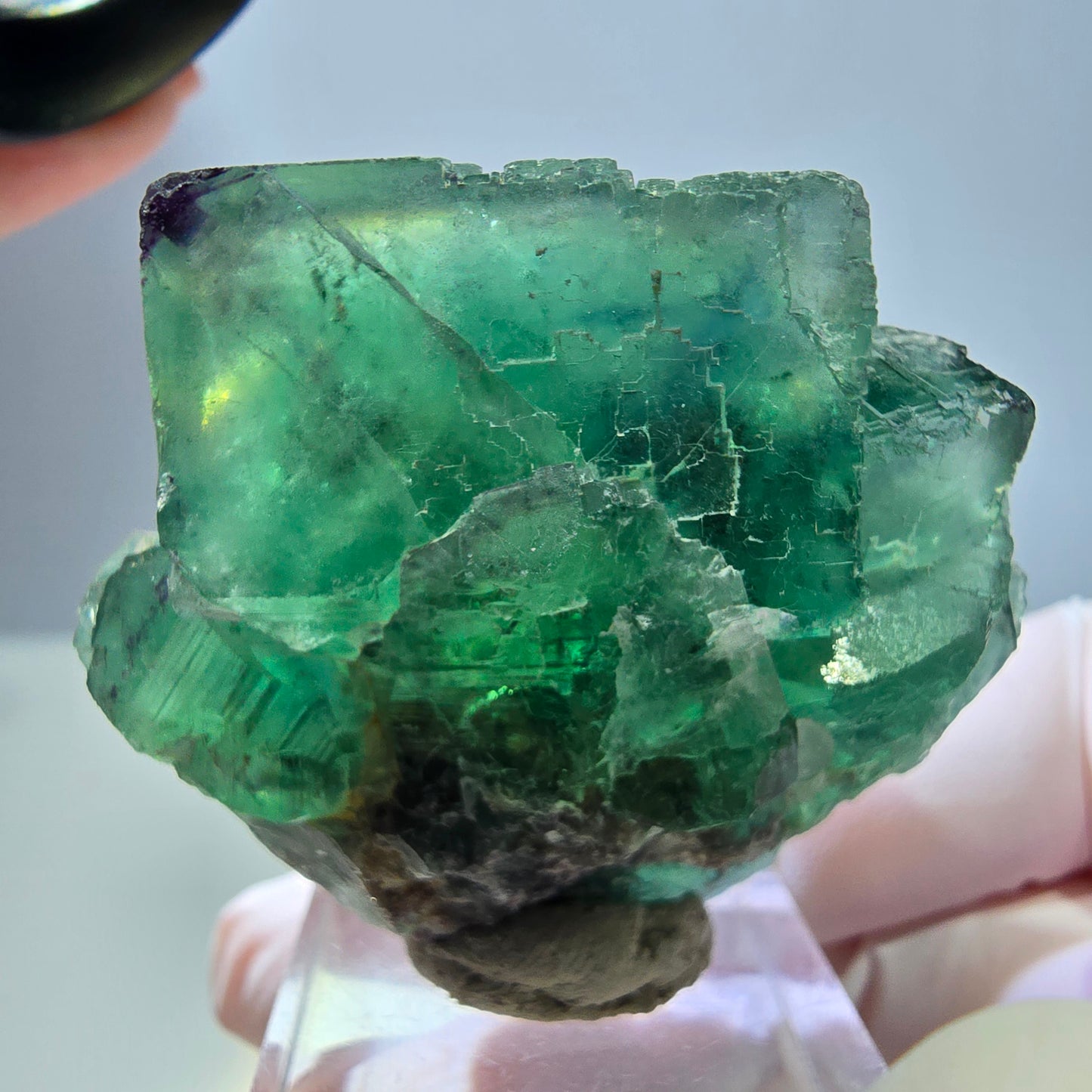 Seltene Phantom Fluorit Würfel Stufe, grün lila Okorusu, Namibia 47*39*25mm