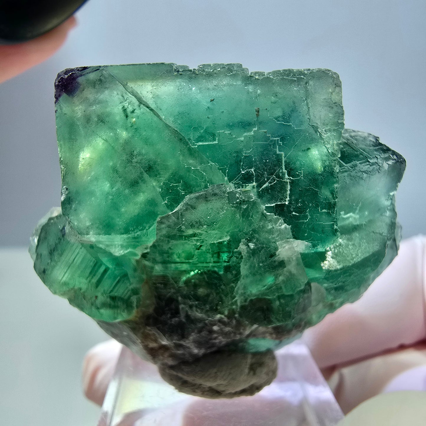 Seltene Phantom Fluorit Würfel Stufe, grün lila Okorusu, Namibia 47*39*25mm