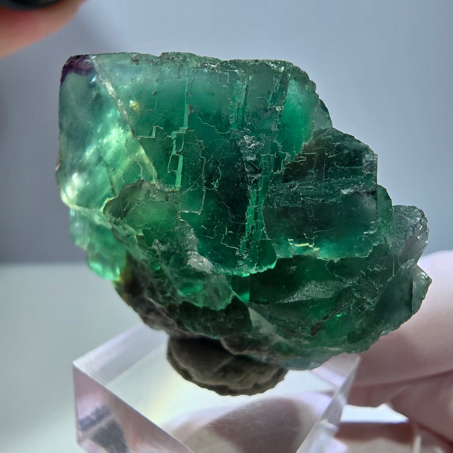 Seltene Phantom Fluorit Würfel Stufe, grün lila Okorusu, Namibia 47*39*25mm