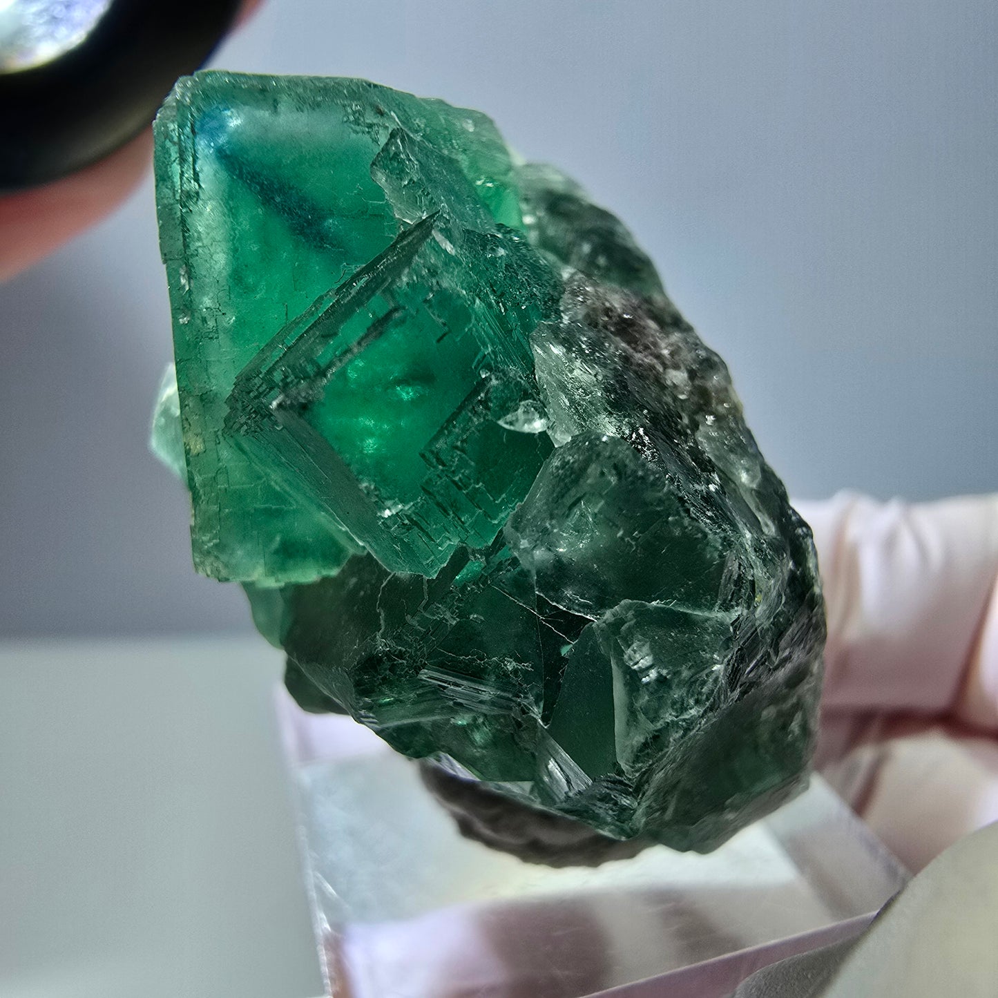 Seltene Phantom Fluorit Würfel Stufe, grün lila Okorusu, Namibia 47*39*25mm