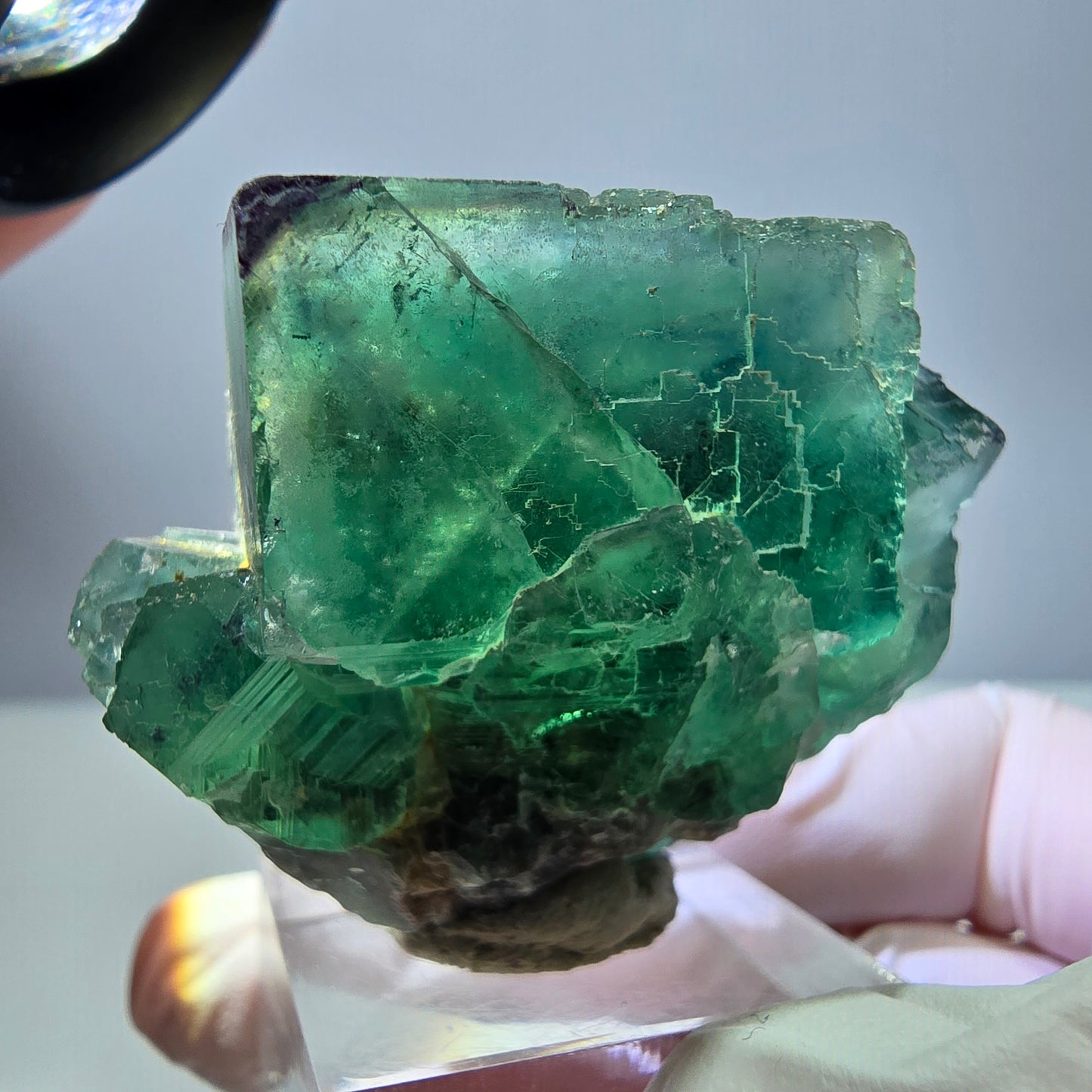 Seltene Phantom Fluorit Würfel Stufe, grün lila Okorusu, Namibia 47*39*25mm