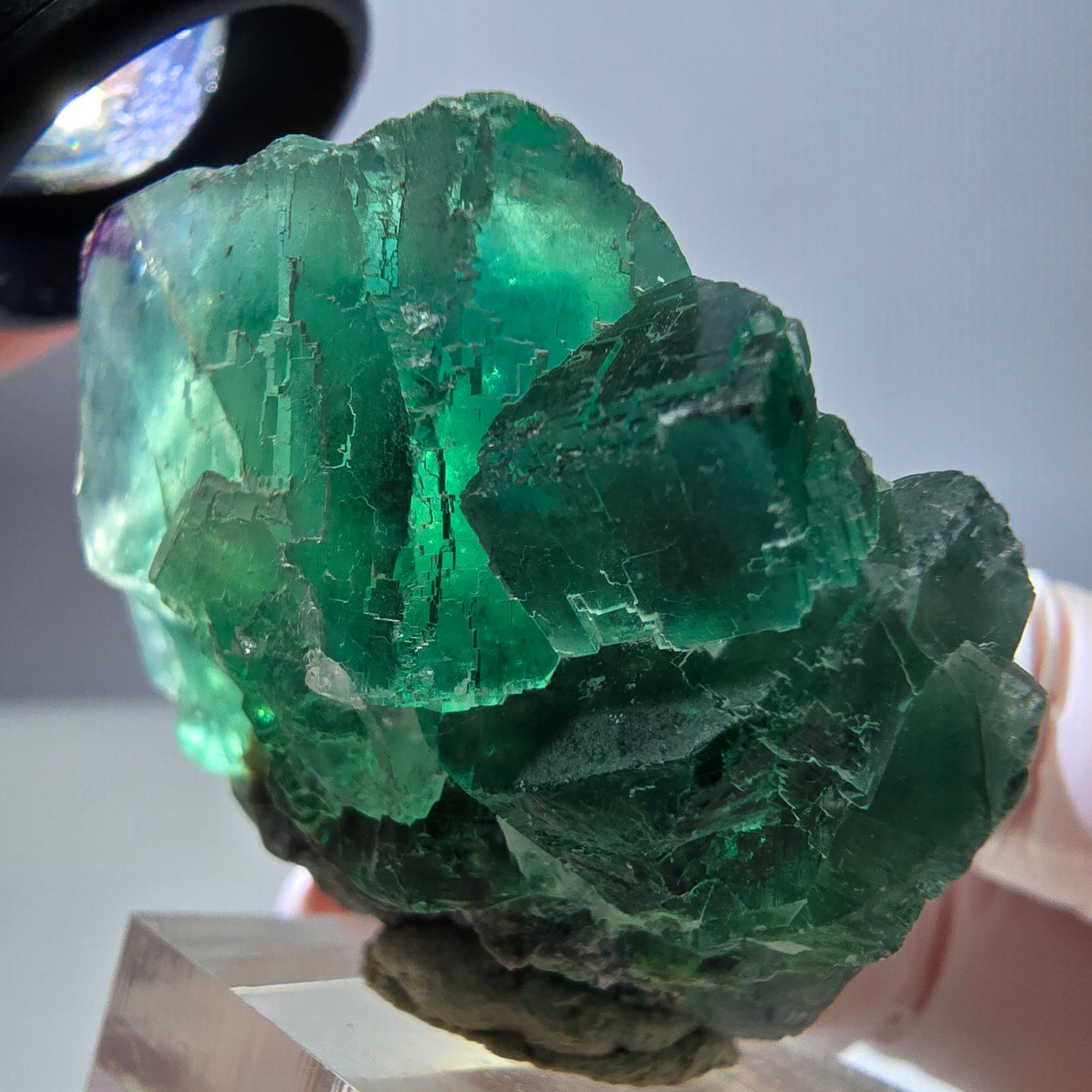 Seltene Phantom Fluorit Würfel Stufe, grün lila Okorusu, Namibia 47*39*25mm
