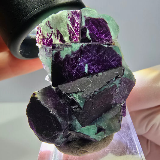 Phantom Fluorit Würfel Stufe, grün lila 11:11 Angel Pocket, Namibia 41*29*16mm