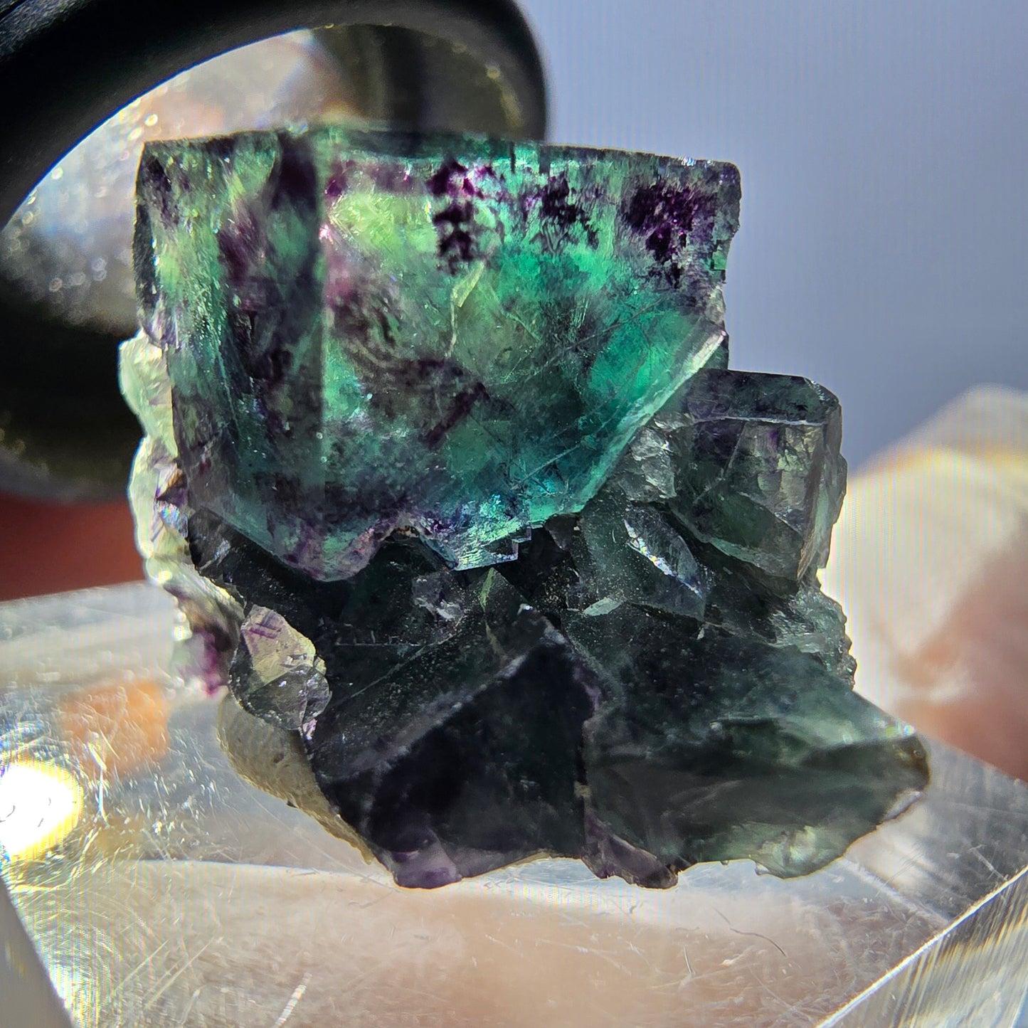 Seltene Phantom Fluorit Würfel Stufe, grün lila Okorusu, Namibia 24*20*17mm
