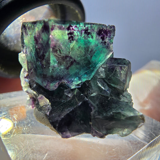 Seltene Phantom Fluorit Würfel Stufe, grün lila Okorusu, Namibia 24*20*17mm
