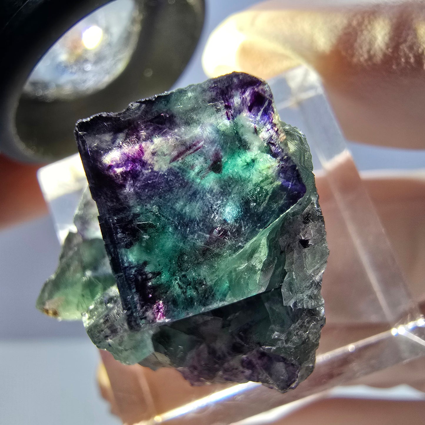 Seltene Phantom Fluorit Würfel Stufe, grün lila Okorusu, Namibia 24*20*17mm