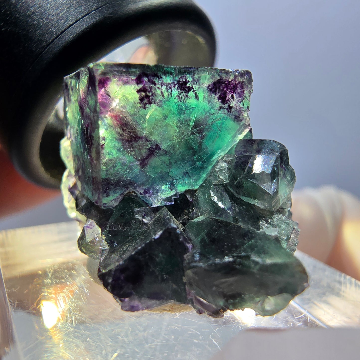 Seltene Phantom Fluorit Würfel Stufe, grün lila Okorusu, Namibia 24*20*17mm