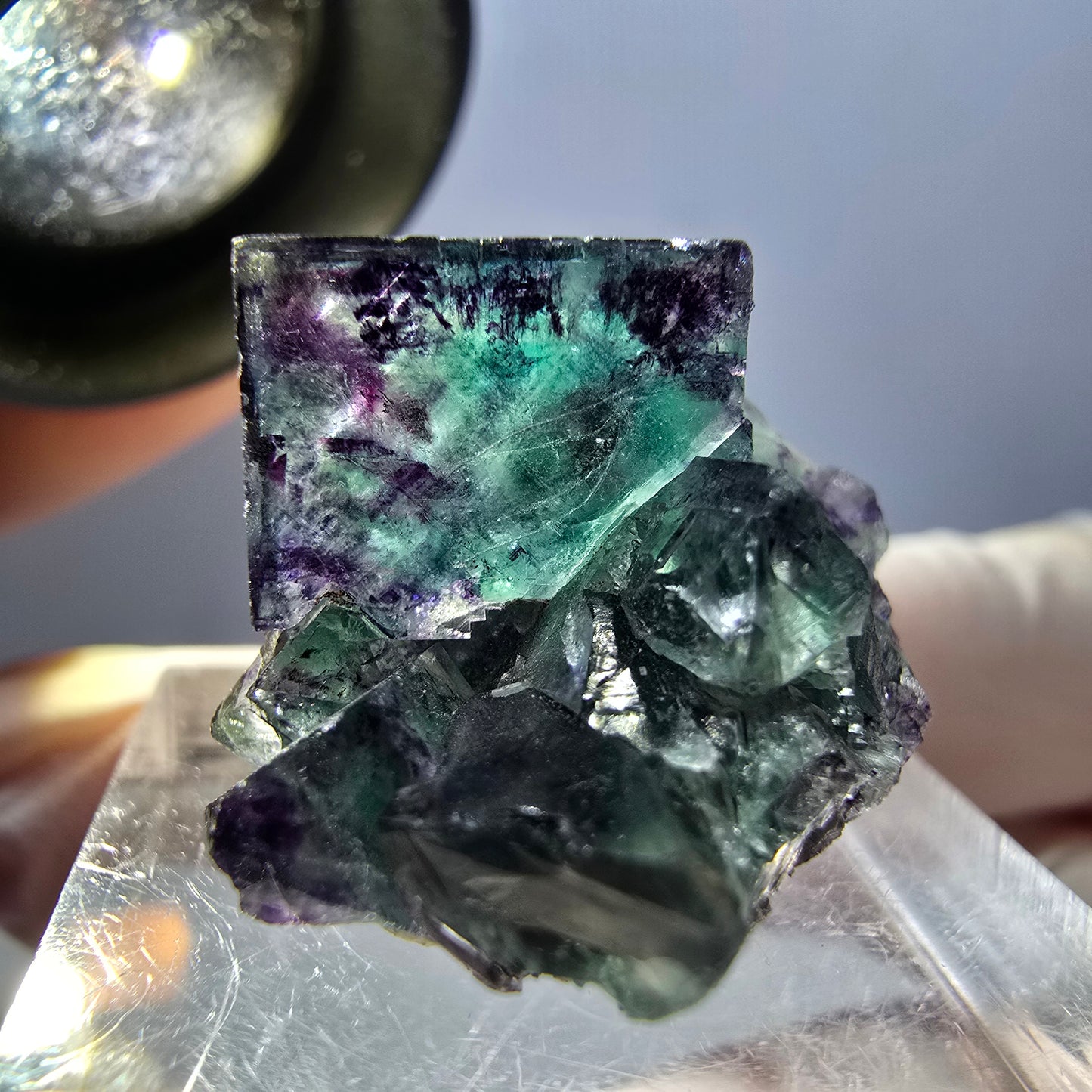 Seltene Phantom Fluorit Würfel Stufe, grün lila Okorusu, Namibia 24*20*17mm