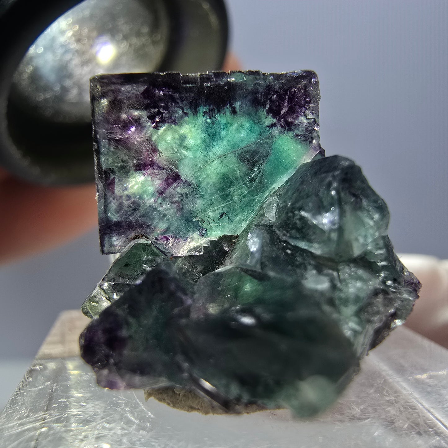 Seltene Phantom Fluorit Würfel Stufe, grün lila Okorusu, Namibia 24*20*17mm