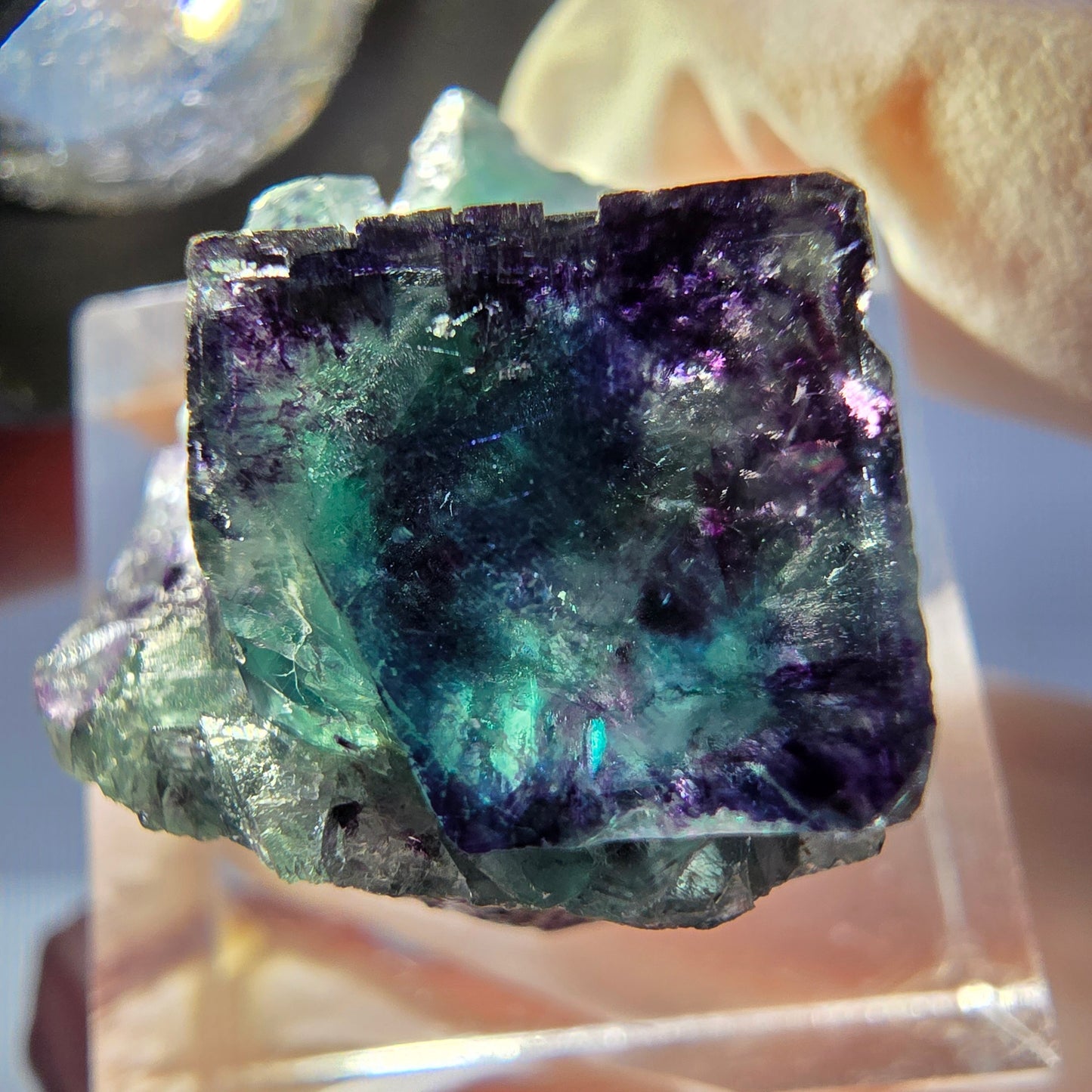 Seltene Phantom Fluorit Würfel Stufe, grün lila Okorusu, Namibia 24*20*17mm