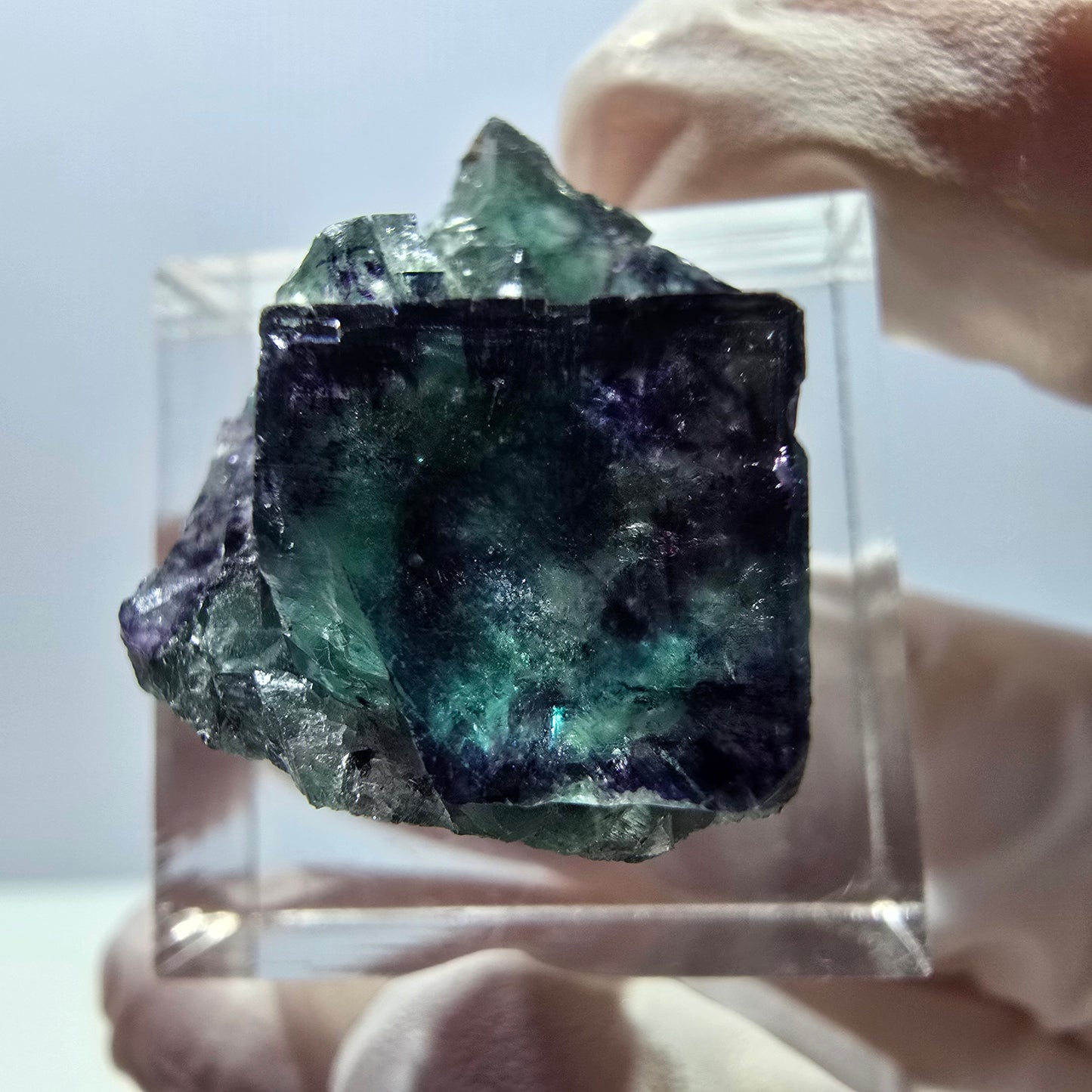 Seltene Phantom Fluorit Würfel Stufe, grün lila Okorusu, Namibia 24*20*17mm
