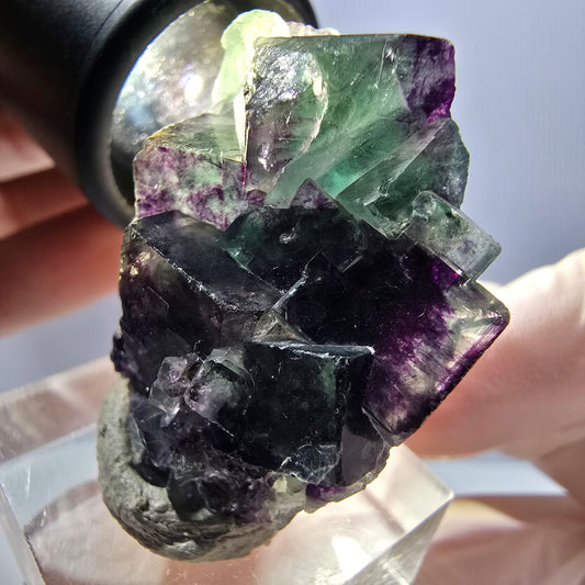 Seltene Phantom Fluorit Würfel Stufe, grün lila Okorusu, Namibia 35*34*17mm